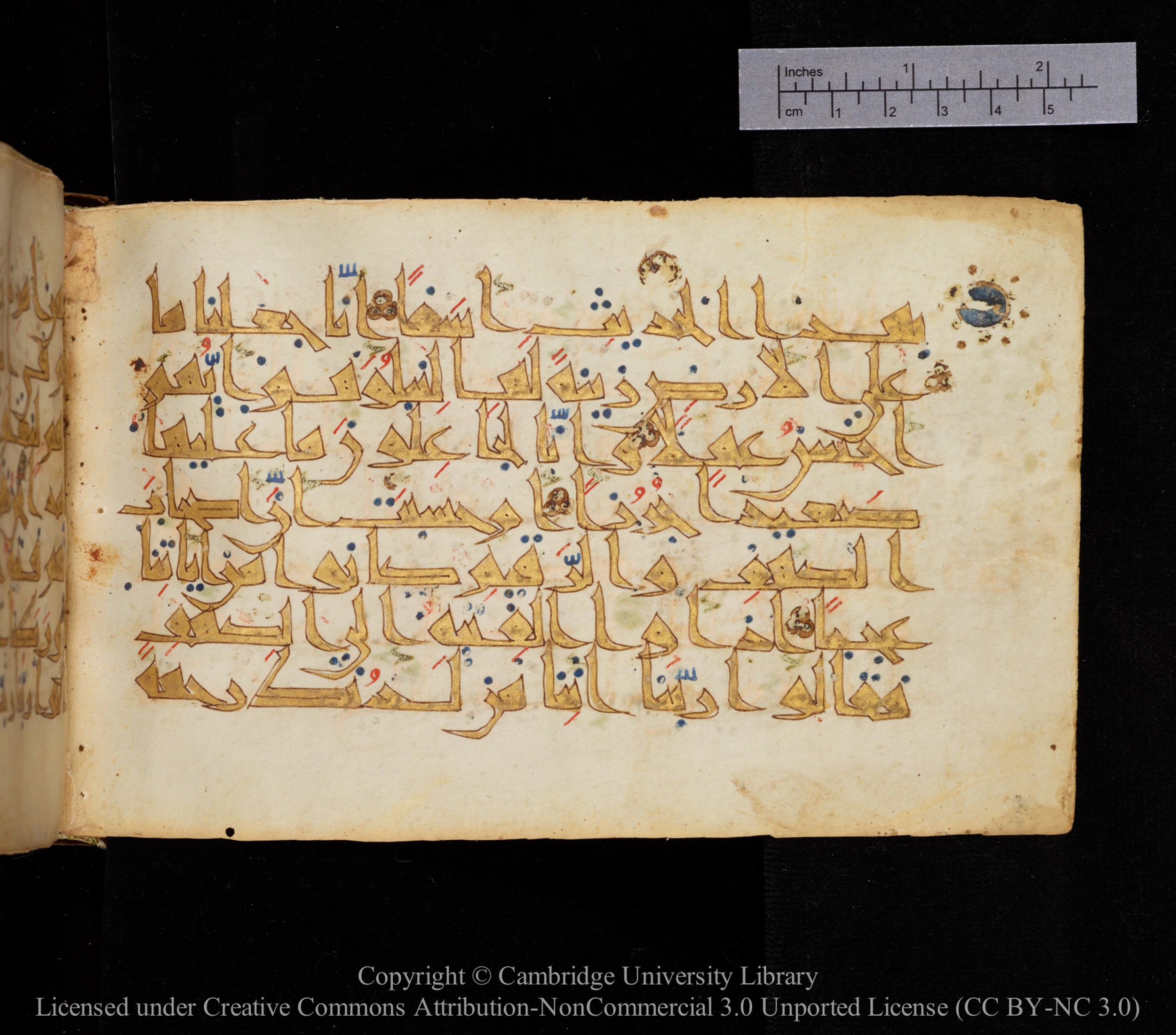 Cambridge MS Or.476 (Scan 2), in New Style I script, showing Surah 18:6 from 10th to 11th Century AD found in Unknown, currently housed at Cambridge University Library, Cambridge