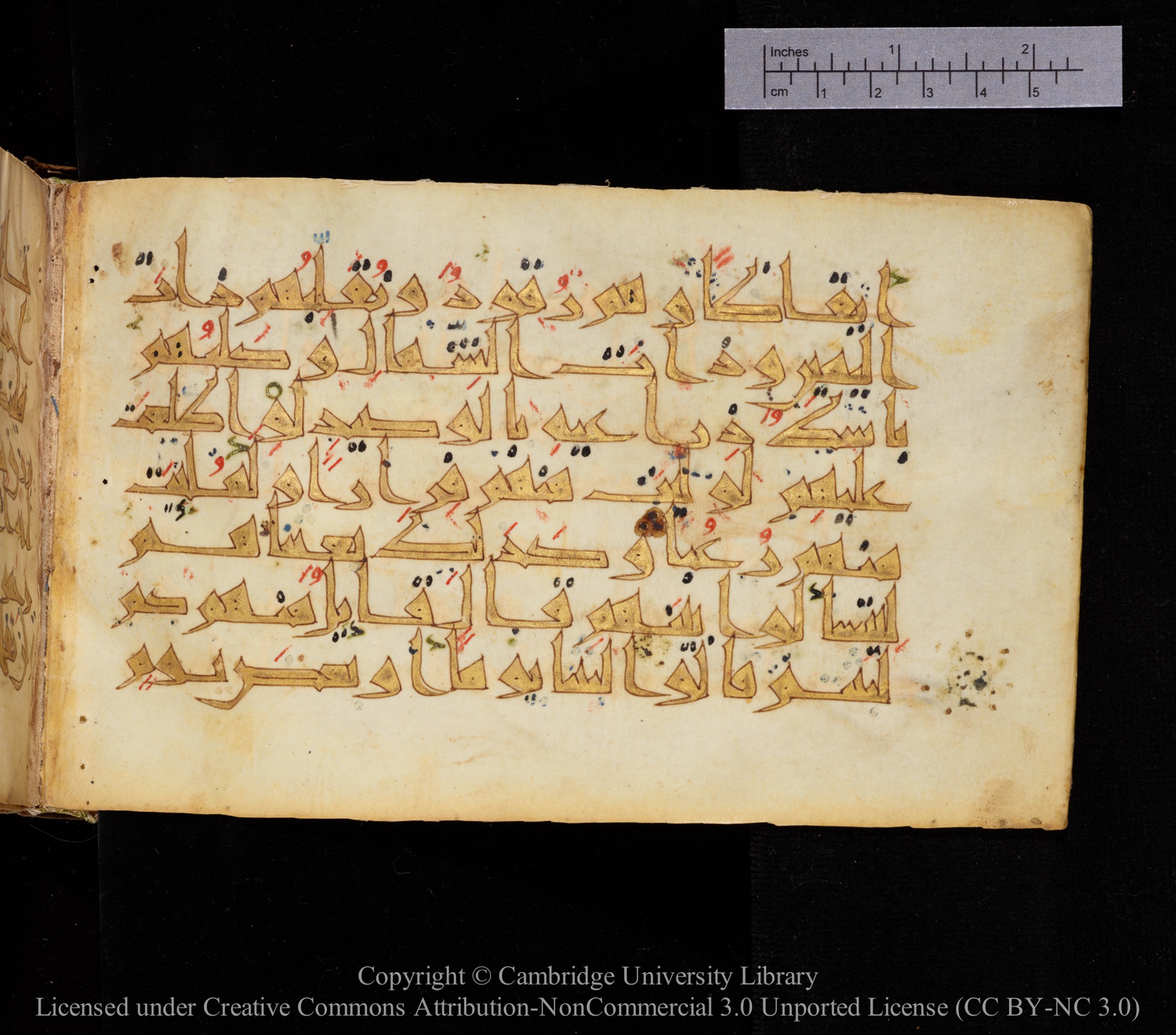Cambridge MS Or.476 (Scan 1), in New Style I script, showing Surah 18:19 from 10th to 11th Century AD found in Unknown, currently housed at Cambridge University Library, Cambridge