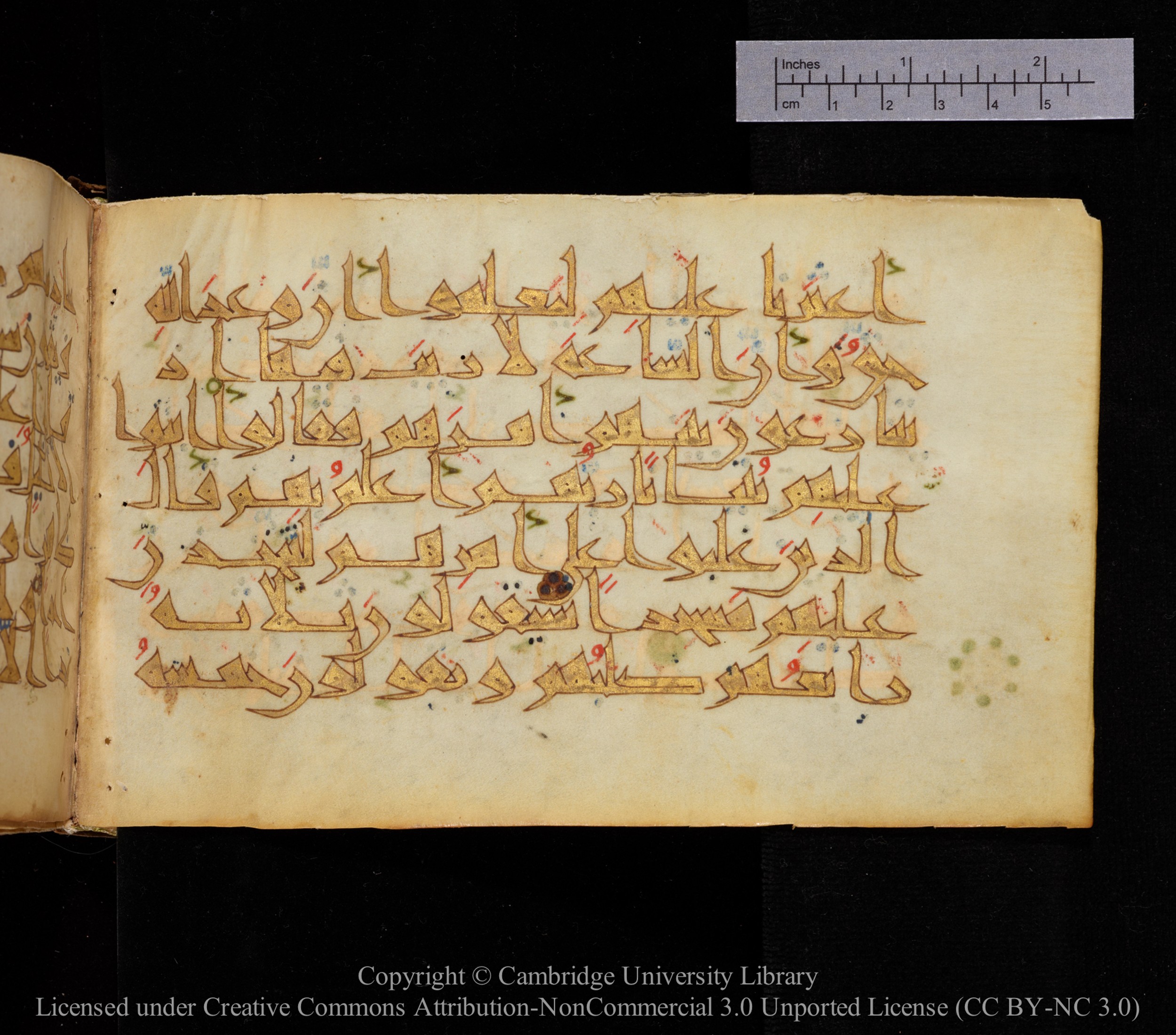Cambridge MS Or.476 (Scan 2), in New Style I script, showing Surah 18:21 from 10th to 11th Century AD found in Unknown, currently housed at Cambridge University Library, Cambridge