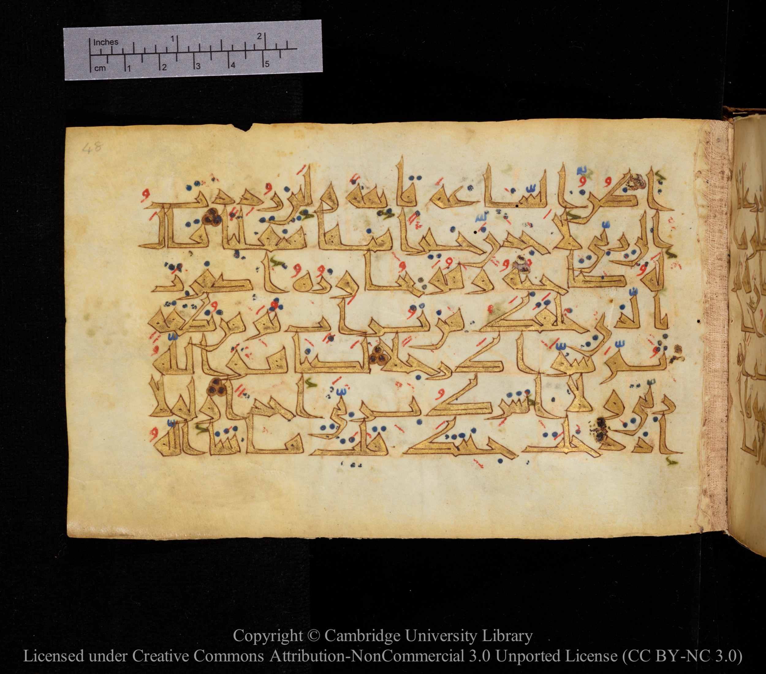 Cambridge MS Or.476 (Scan 1), in New Style I script, showing Surah 18:39 from 10th to 11th Century AD found in Unknown, currently housed at Cambridge University Library, Cambridge