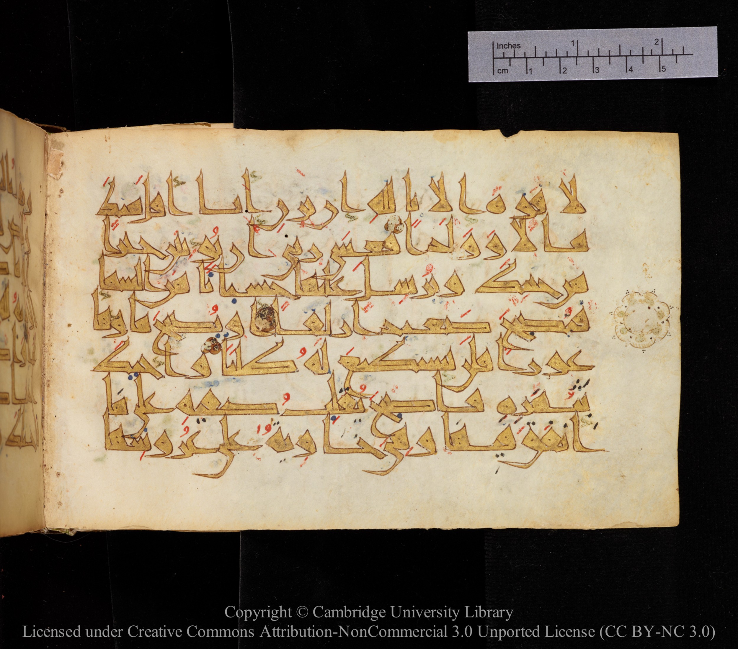 Cambridge MS Or.476 (Scan 2), in New Style I script, showing Surah 18:39 from 10th to 11th Century AD found in Unknown, currently housed at Cambridge University Library, Cambridge