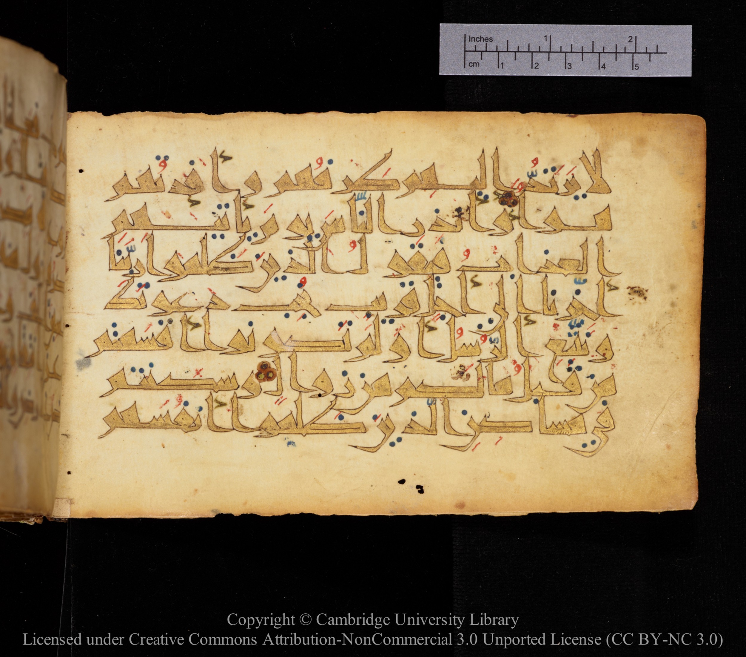 Cambridge MS Or.476, in New Style I script, showing Surah 14:44 from 10th to 11th Century AD found in Unknown, currently housed at Cambridge University Library, Cambridge