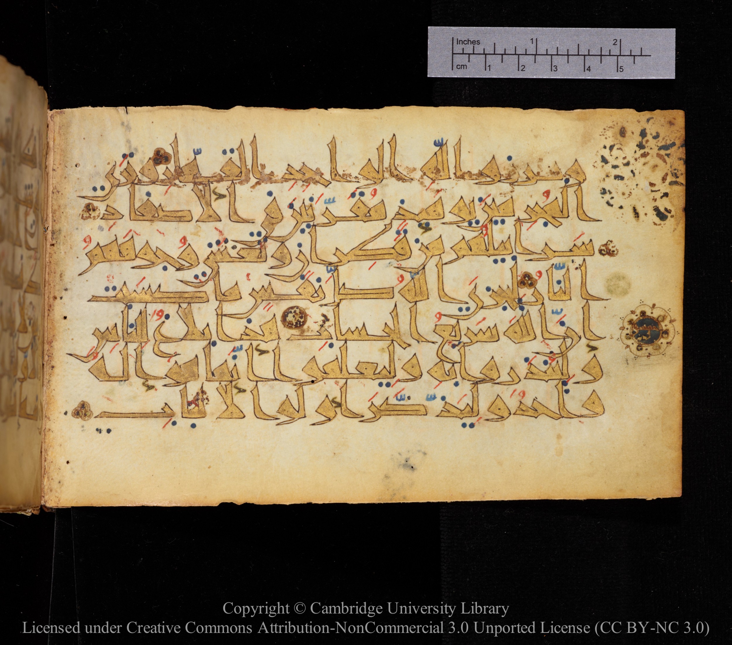 Cambridge MS Or.476, in New Style I script, showing Surah 14:49 from 10th to 11th Century AD found in Unknown, currently housed at Cambridge University Library, Cambridge
