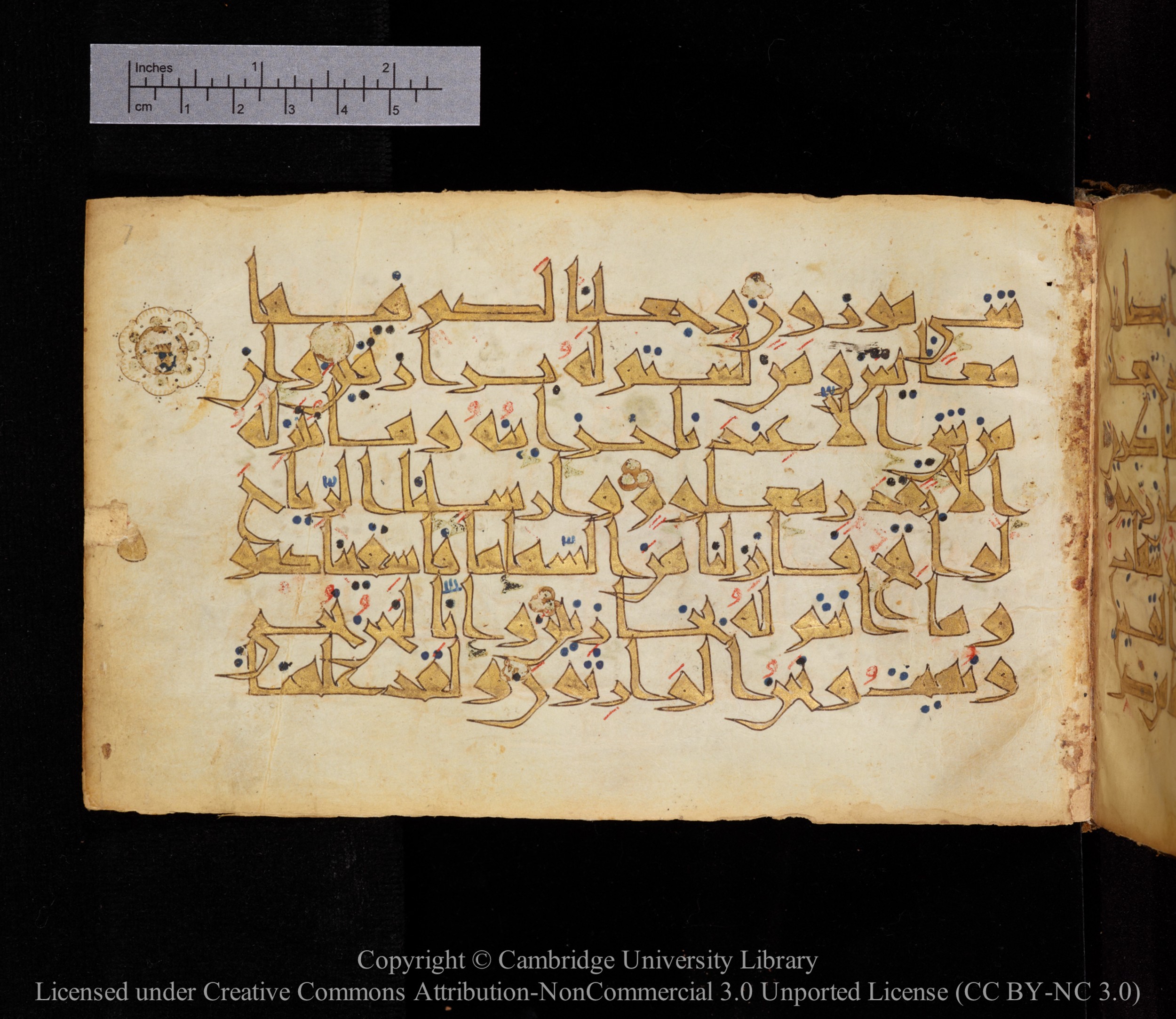 Cambridge MS Or.476, in New Style I script, showing Surah 15:22 from 10th to 11th Century AD found in Unknown, currently housed at Cambridge University Library, Cambridge