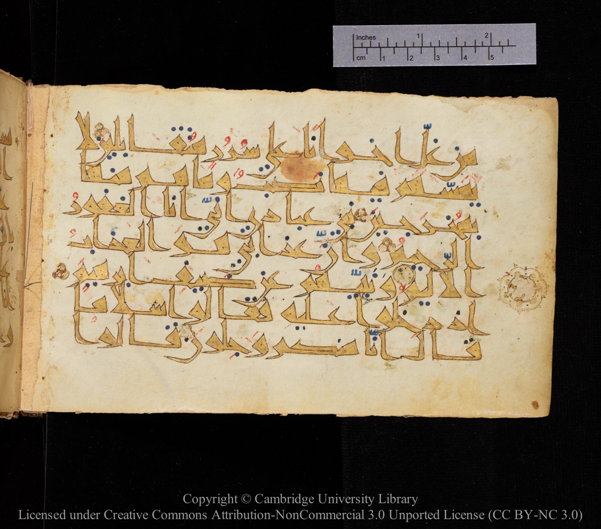 Cambridge MS Or.476, in New Style I script, showing Surah 15:49 from 10th to 11th Century AD found in Unknown, currently housed at Cambridge University Library, Cambridge