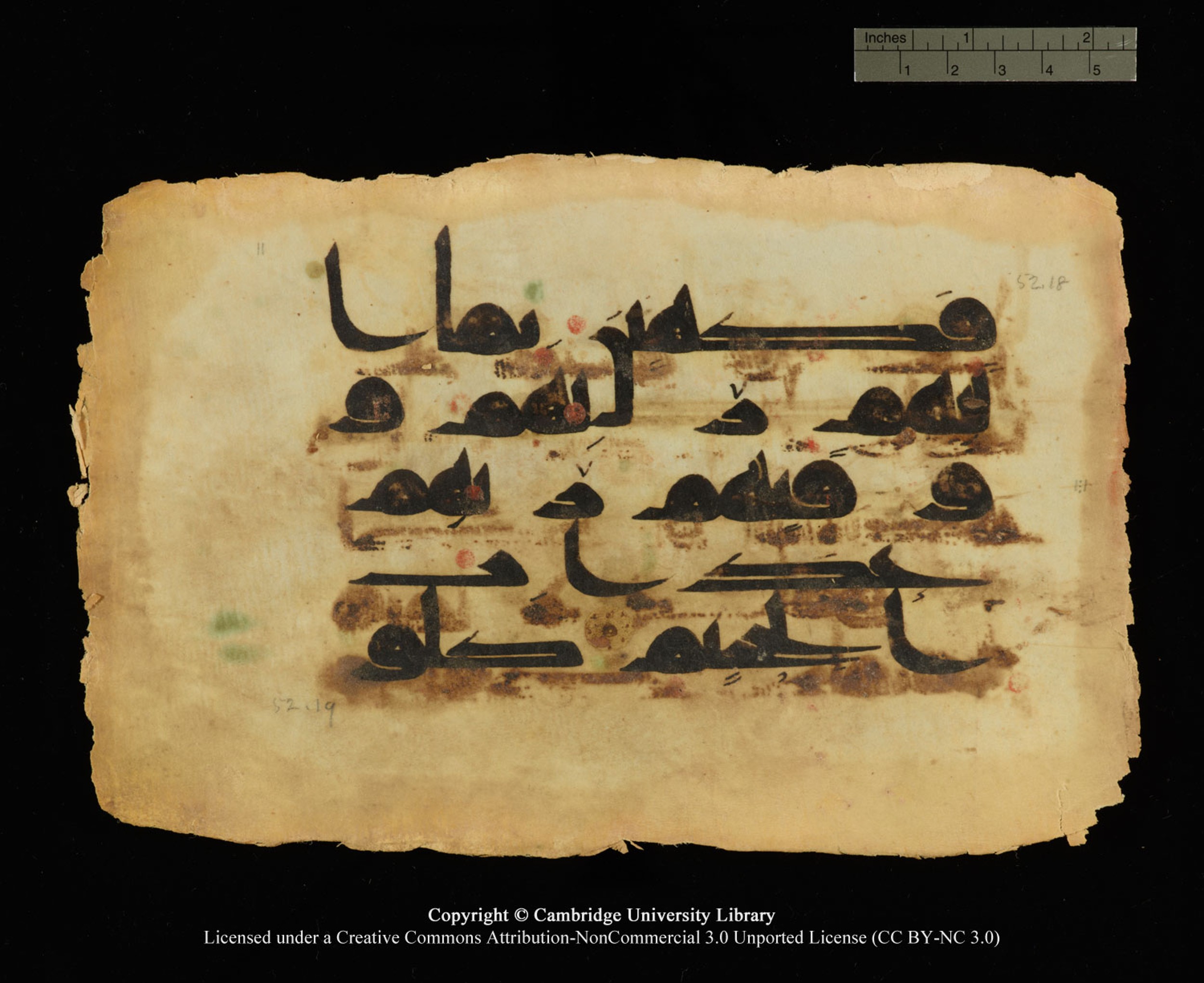 Cambridge, Cambridge University Library, MS Or.770 (Scan 1), in Kūfī D.III script, showing Surah 52:19 from 9th Century AD found in Unknown, currently housed at Cambridge University Library, Cambridge