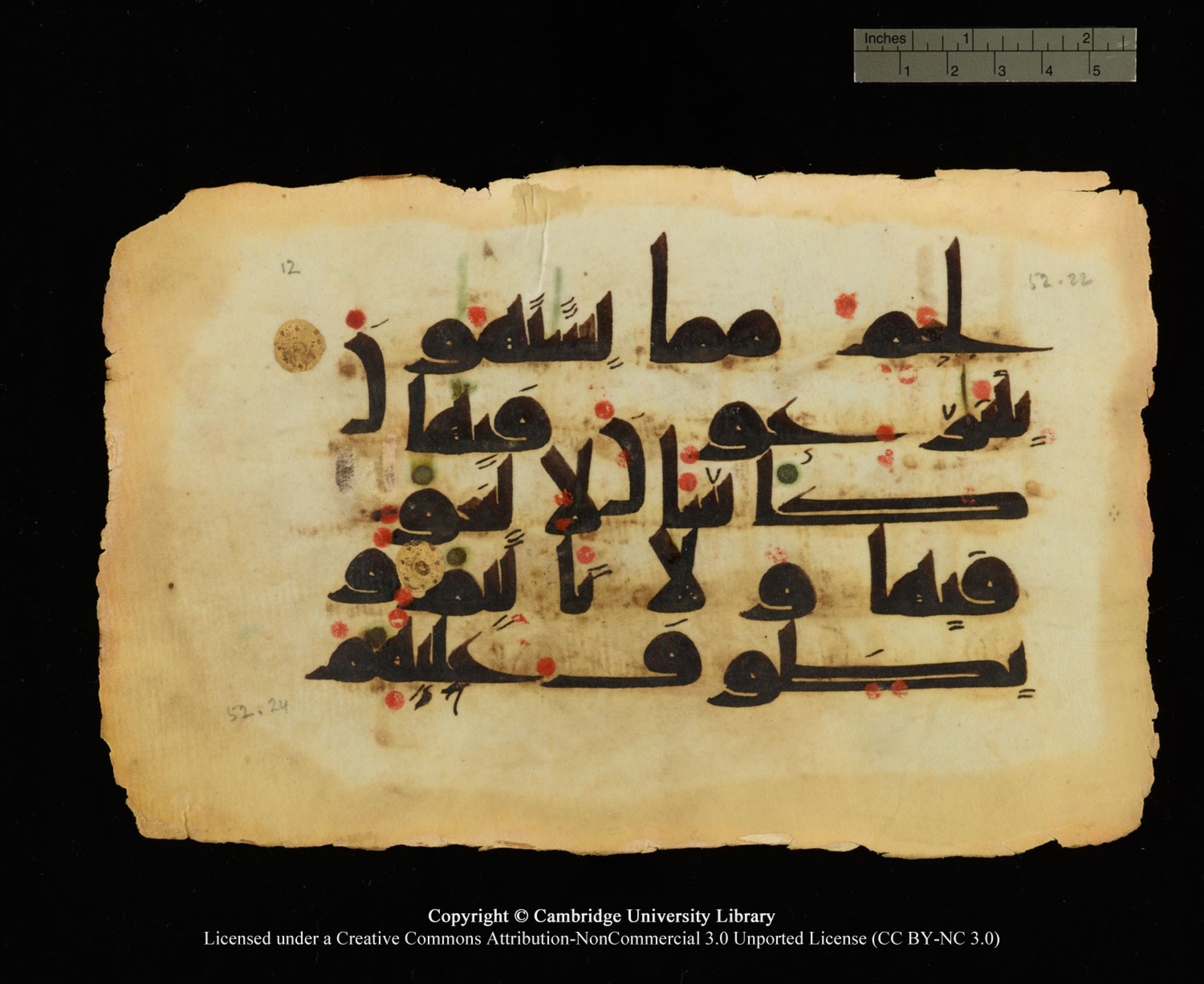 Cambridge, Cambridge University Library, MS Or.770 (Scan 1), in Kūfī D.III script, showing Surah 52:24 from 9th Century AD found in Unknown, currently housed at Cambridge University Library, Cambridge