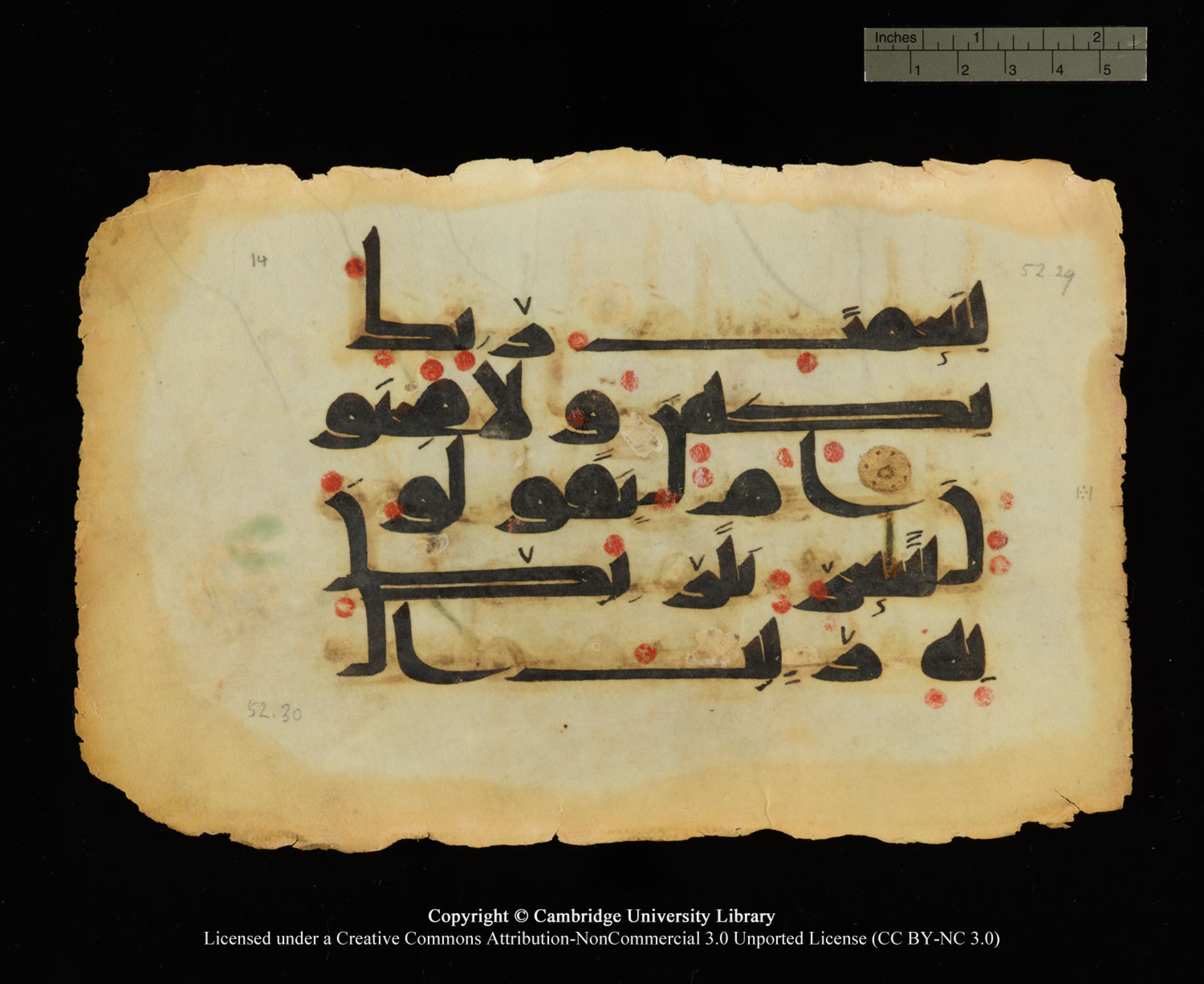 Cambridge, Cambridge University Library, MS Or.770 (Scan 2), in Kūfī D.III script, showing Surah 52:29 from 9th Century AD found in Unknown, currently housed at Cambridge University Library, Cambridge