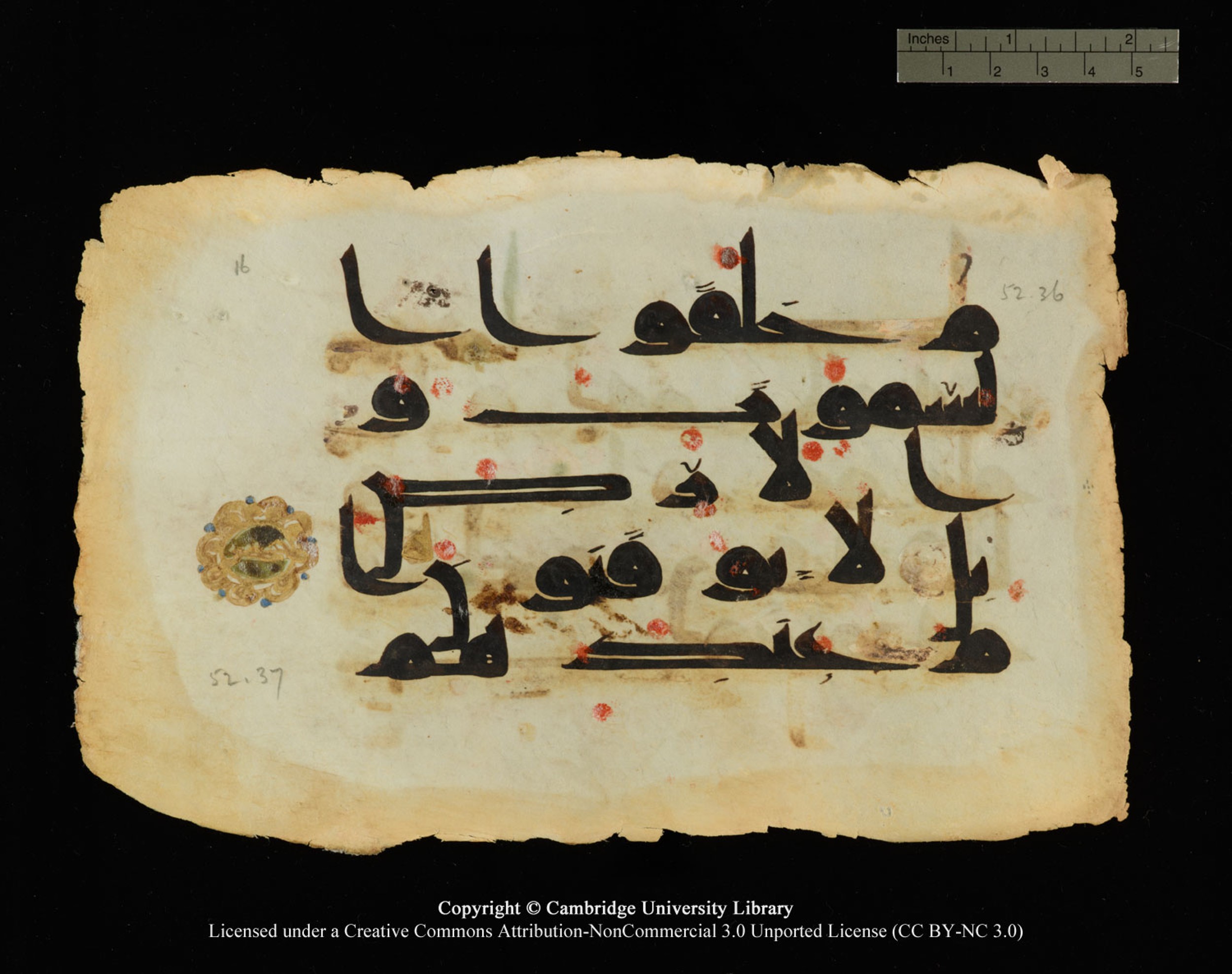 Cambridge, Cambridge University Library, MS Or.770 (Scan 1), in Kūfī D.III script, showing Surah 52:37 from 9th Century AD found in Unknown, currently housed at Cambridge University Library, Cambridge