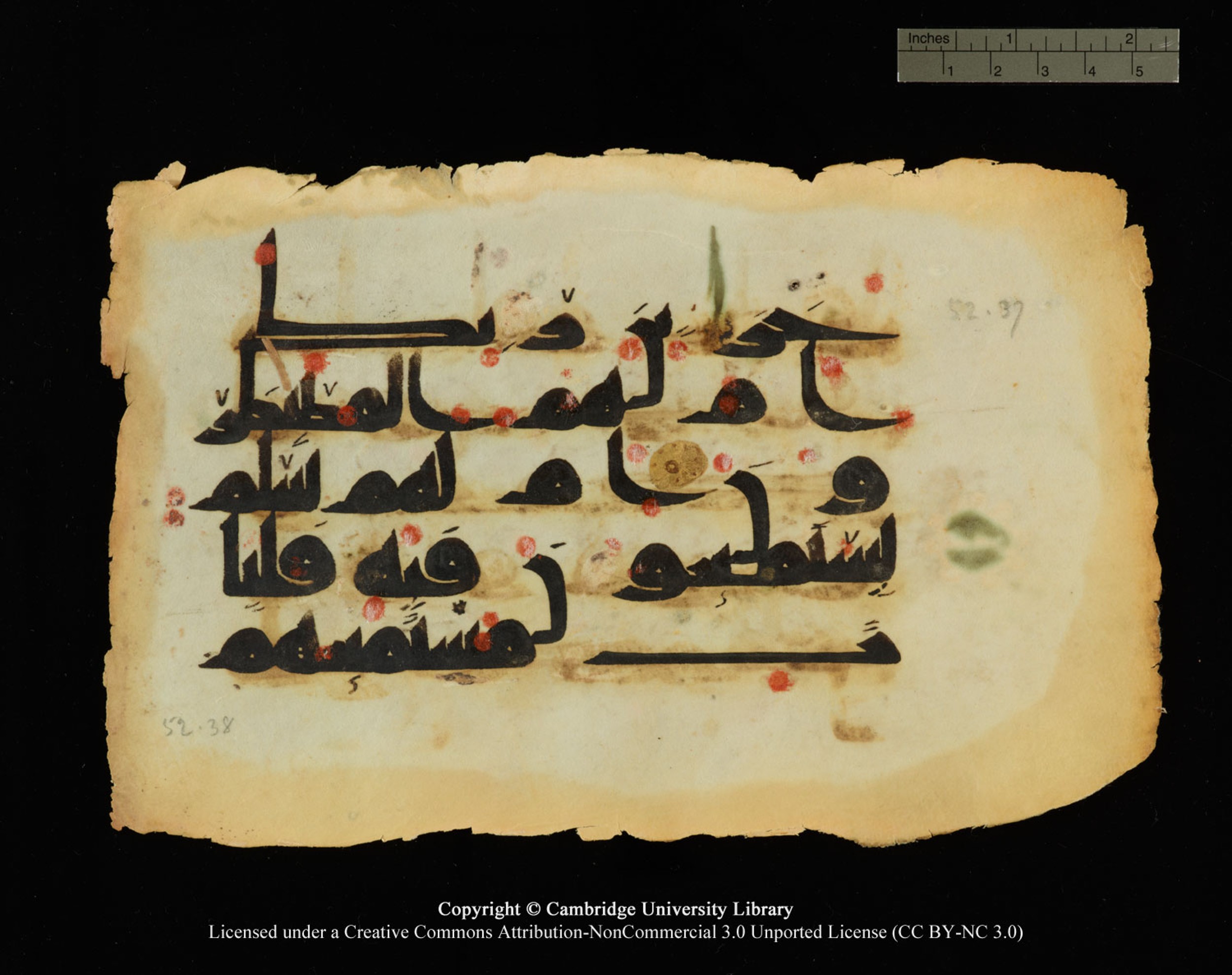 Cambridge, Cambridge University Library, MS Or.770 (Scan 2), in Kūfī D.III script, showing Surah 52:37 from 9th Century AD found in Unknown, currently housed at Cambridge University Library, Cambridge