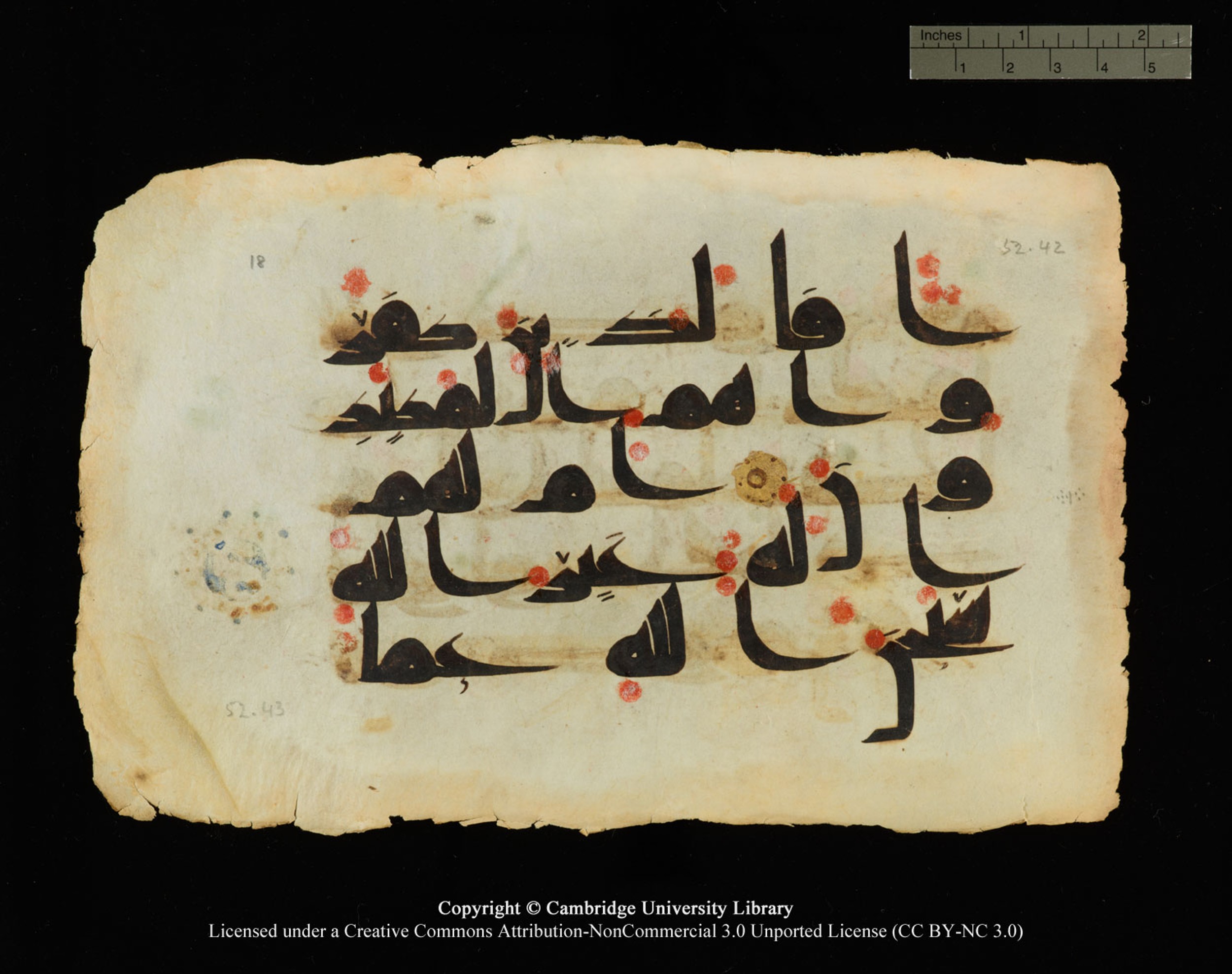 Cambridge, Cambridge University Library, MS Or.770 (Scan 1), in Kūfī D.III script, showing Surah 52:43 from 9th Century AD found in Unknown, currently housed at Cambridge University Library, Cambridge