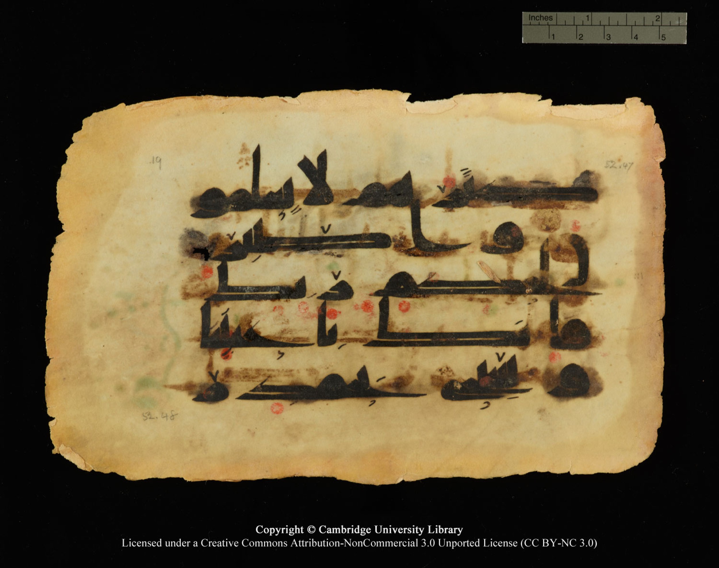 Cambridge, Cambridge University Library, MS Or.770 (Scan 1), in Kūfī D.III script, showing Surah 52:48 from 9th Century AD found in Unknown, currently housed at Cambridge University Library, Cambridge