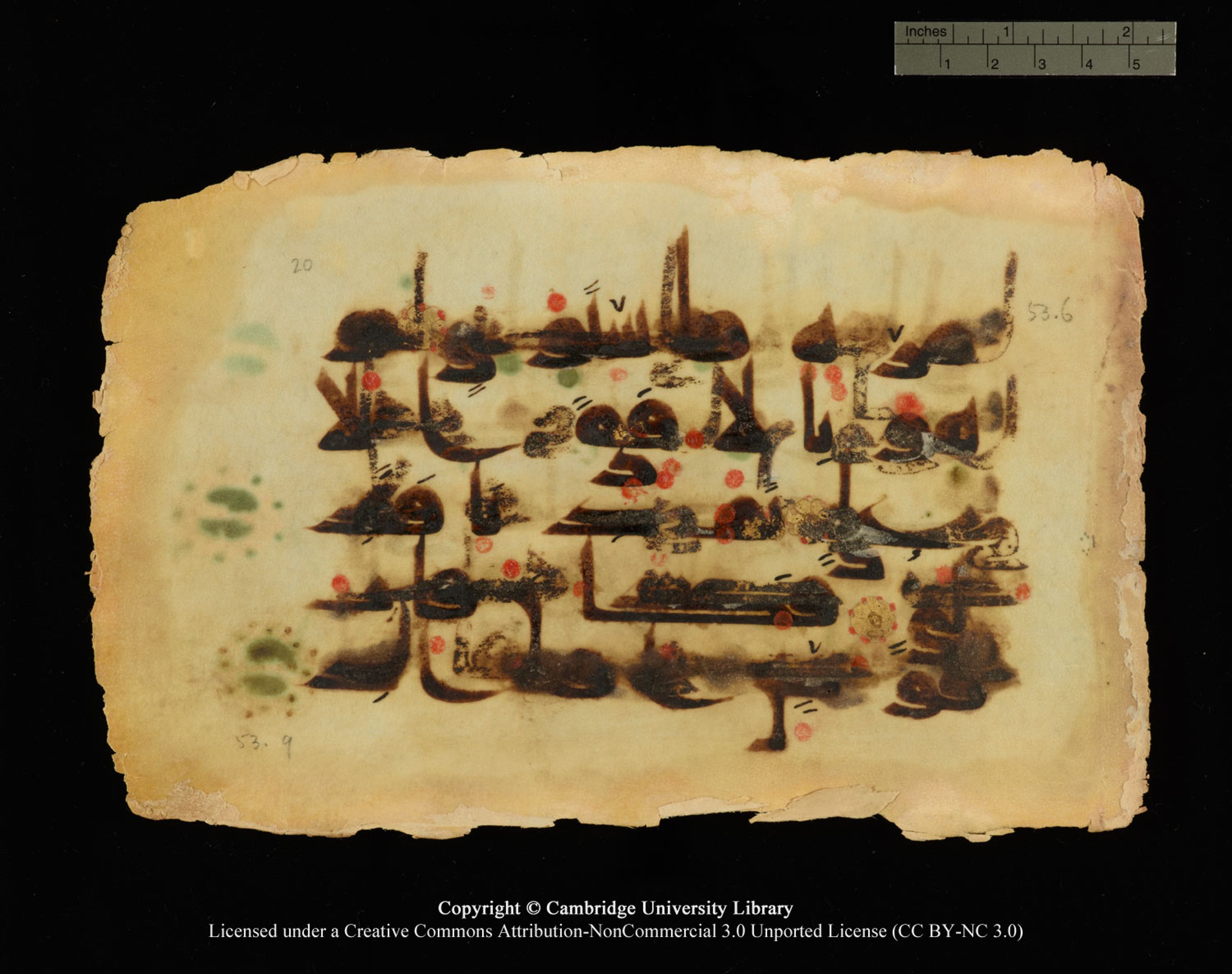Cambridge, Cambridge University Library, MS Or.770, in Kūfī D.III script, showing Surah 53:7 from 9th Century AD found in Unknown, currently housed at Cambridge University Library, Cambridge