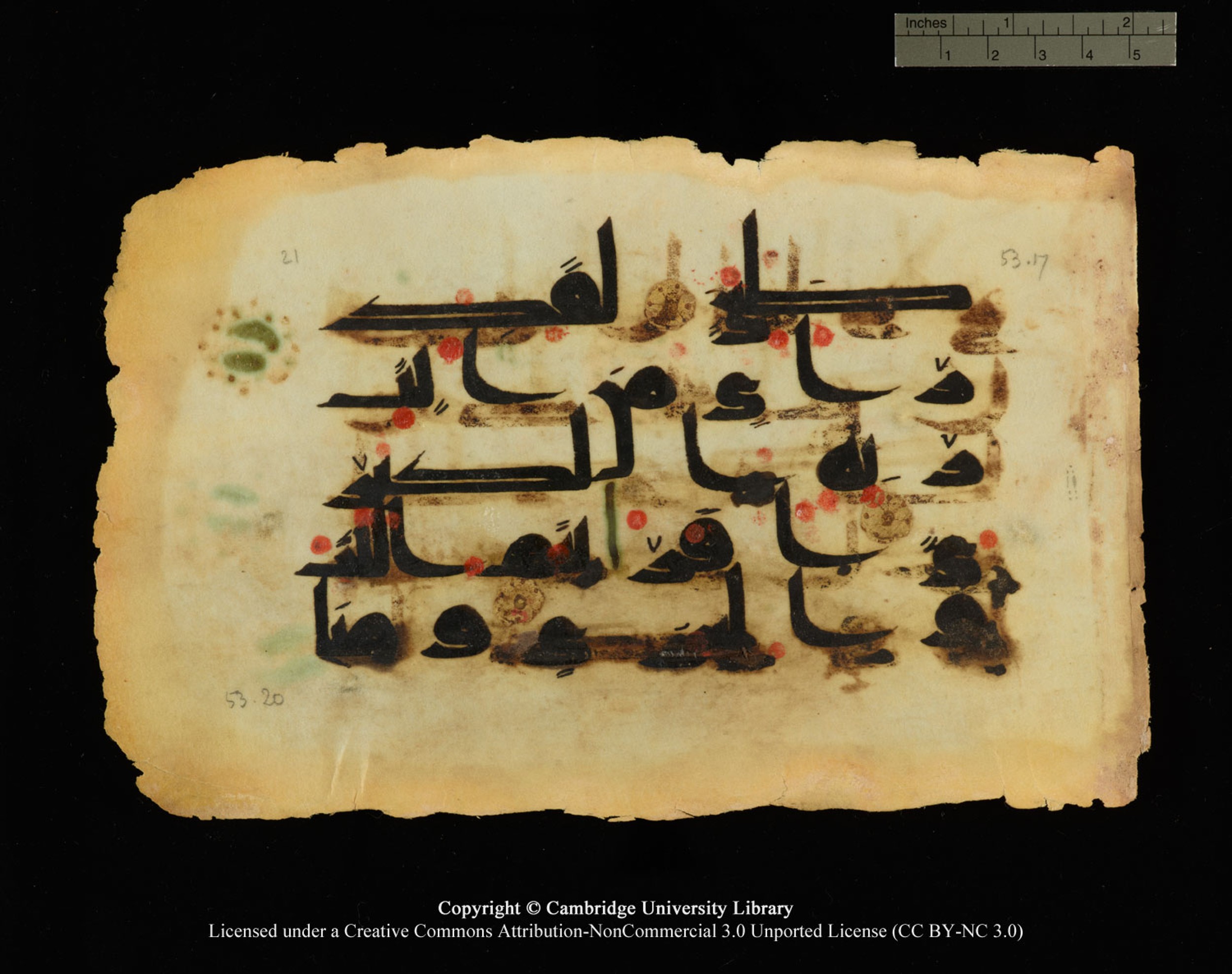 Cambridge, Cambridge University Library, MS Or.770, in Kūfī D.III script, showing Surah 53:17 from 9th Century AD found in Unknown, currently housed at Cambridge University Library, Cambridge