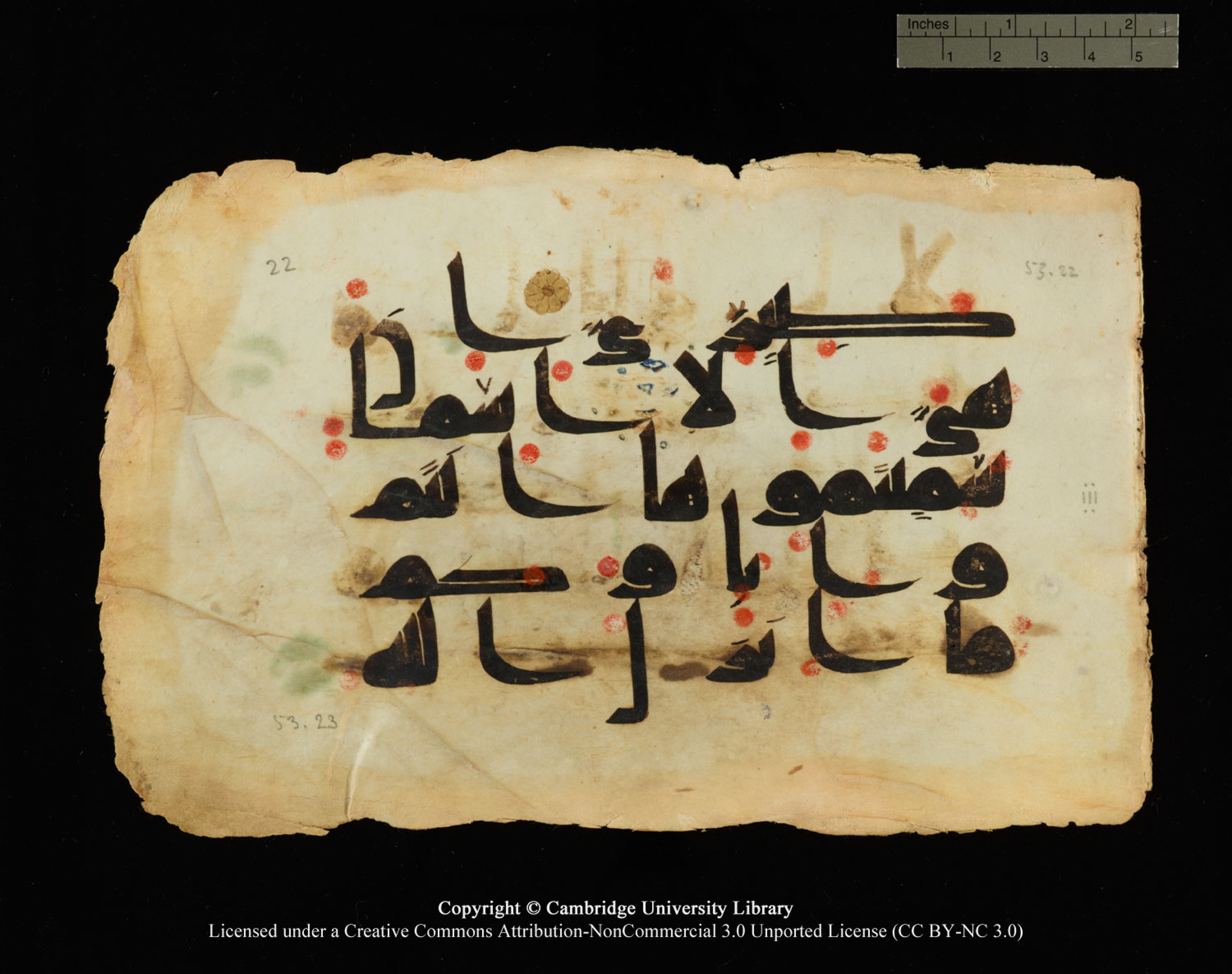Cambridge, Cambridge University Library, MS Or.770 (Scan 1), in Kūfī D.III script, showing Surah 53:23 from 9th Century AD found in Unknown, currently housed at Cambridge University Library, Cambridge