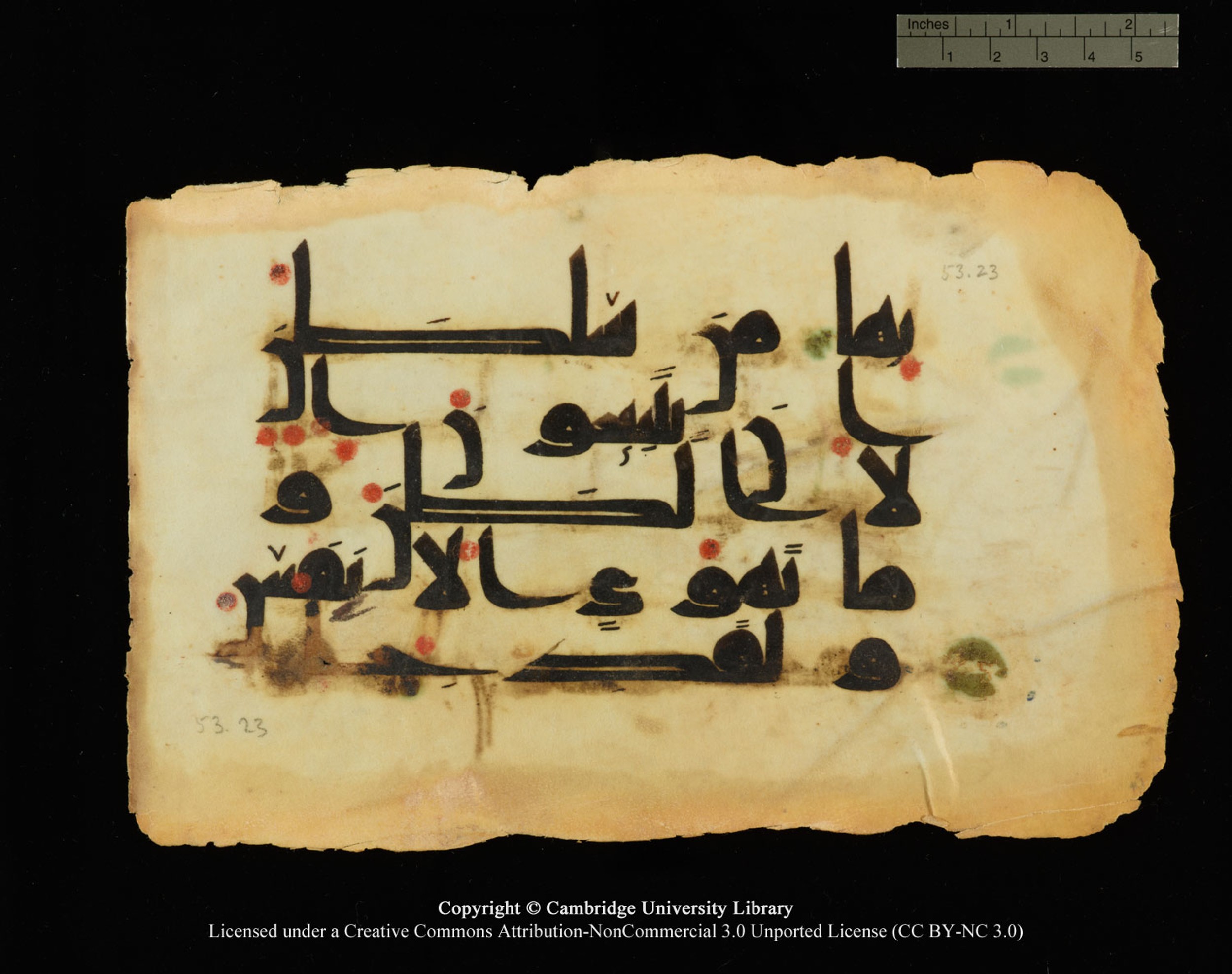 Cambridge, Cambridge University Library, MS Or.770 (Scan 2), in Kūfī D.III script, showing Surah 53:23 from 9th Century AD found in Unknown, currently housed at Cambridge University Library, Cambridge