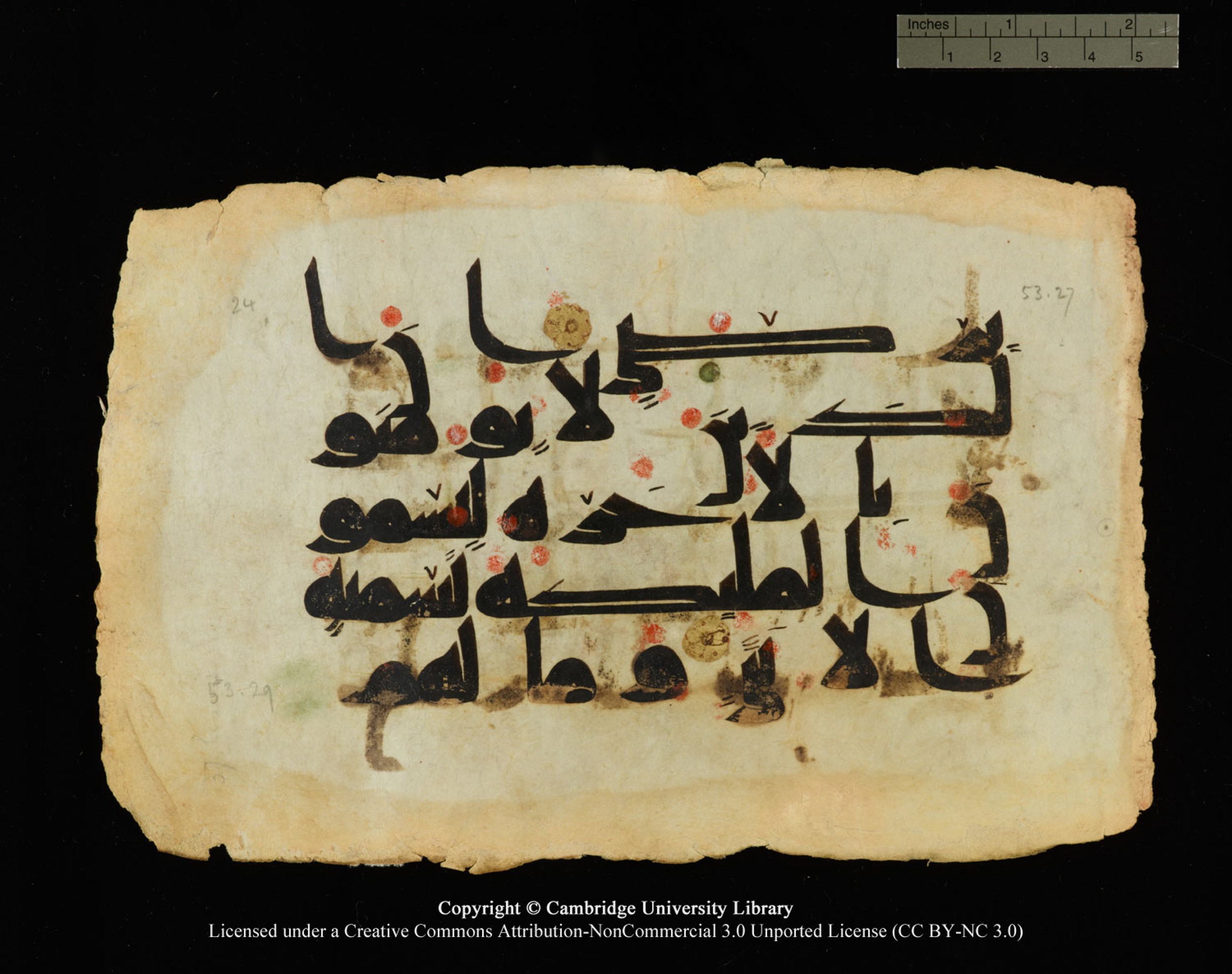 Cambridge, Cambridge University Library, MS Or.770 (Scan 1), in Kūfī D.III script, showing Surah 53:28 from 9th Century AD found in Unknown, currently housed at Cambridge University Library, Cambridge