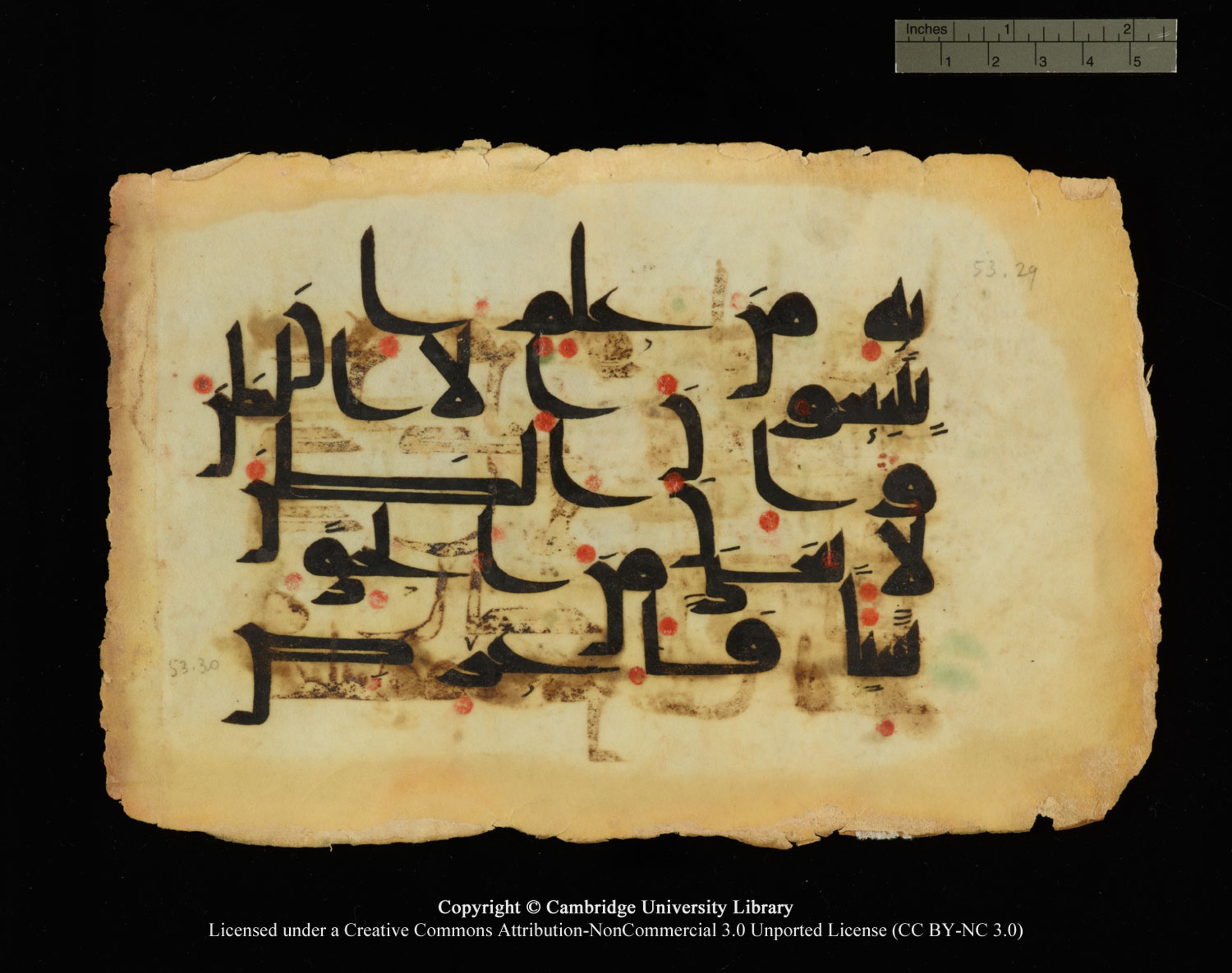 Cambridge, Cambridge University Library, MS Or.770 (Scan 2), in Kūfī D.III script, showing Surah 53:28 from 9th Century AD found in Unknown, currently housed at Cambridge University Library, Cambridge
