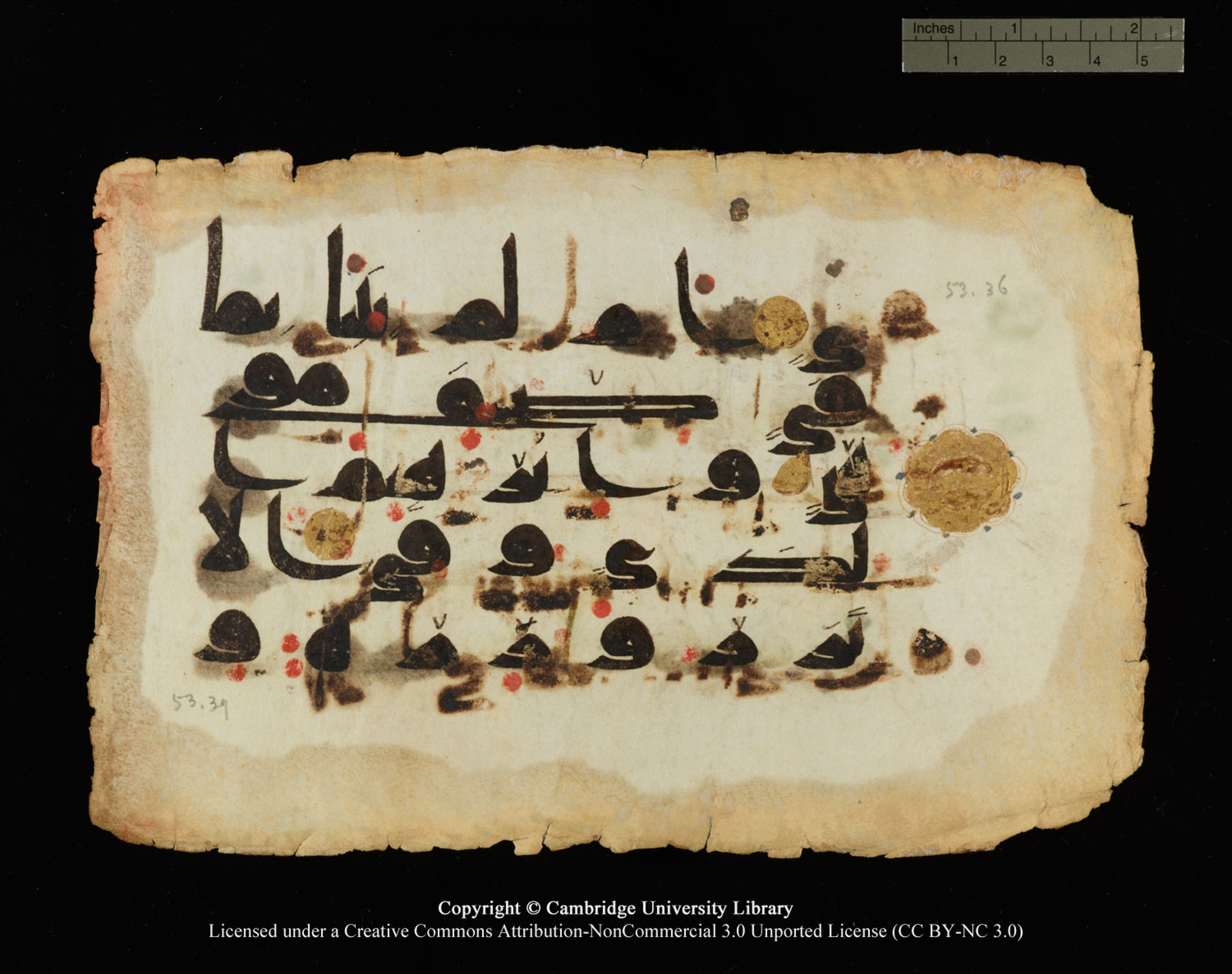 Cambridge, Cambridge University Library, MS Or.770 (Scan 2), in Kūfī D.III script, showing Surah 53:35 from 9th Century AD found in Unknown, currently housed at Cambridge University Library, Cambridge