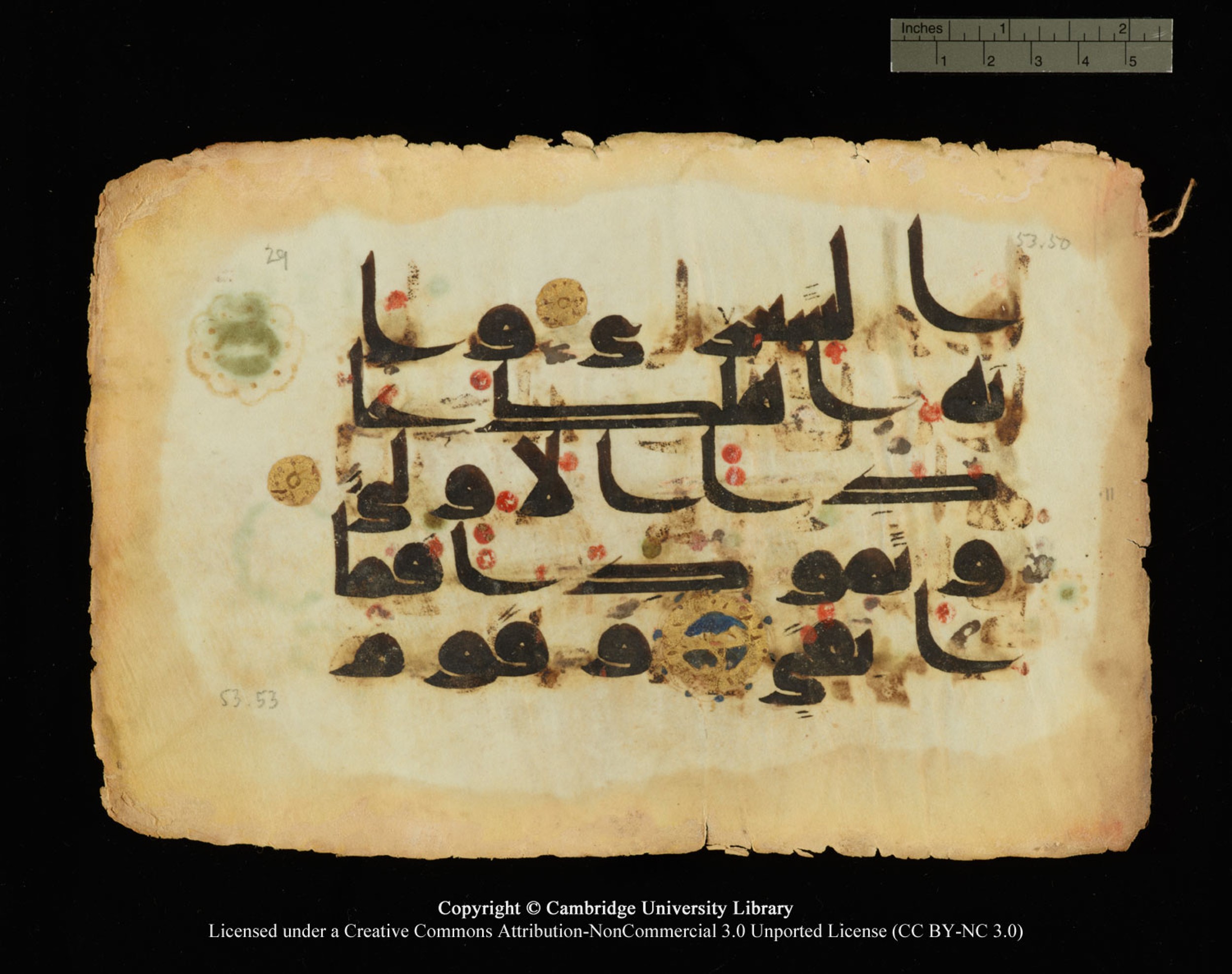 Cambridge, Cambridge University Library, MS Or.770, in Kūfī D.III script, showing Surah 53:49 from 9th Century AD found in Unknown, currently housed at Cambridge University Library, Cambridge