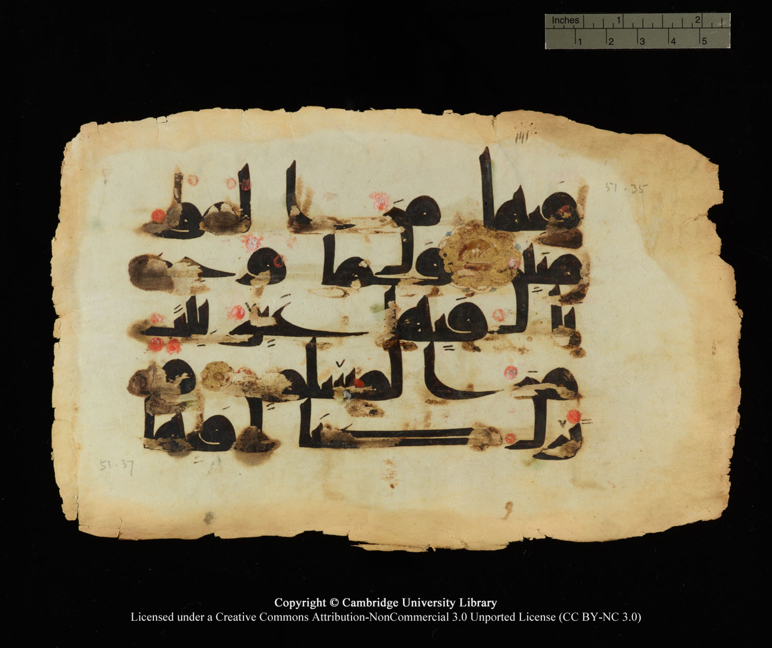 Cambridge, Cambridge University Library, MS Or.770 (Scan 2), in Kūfī D.III script, showing Surah 51:35 from 9th Century AD found in Unknown, currently housed at Cambridge University Library, Cambridge