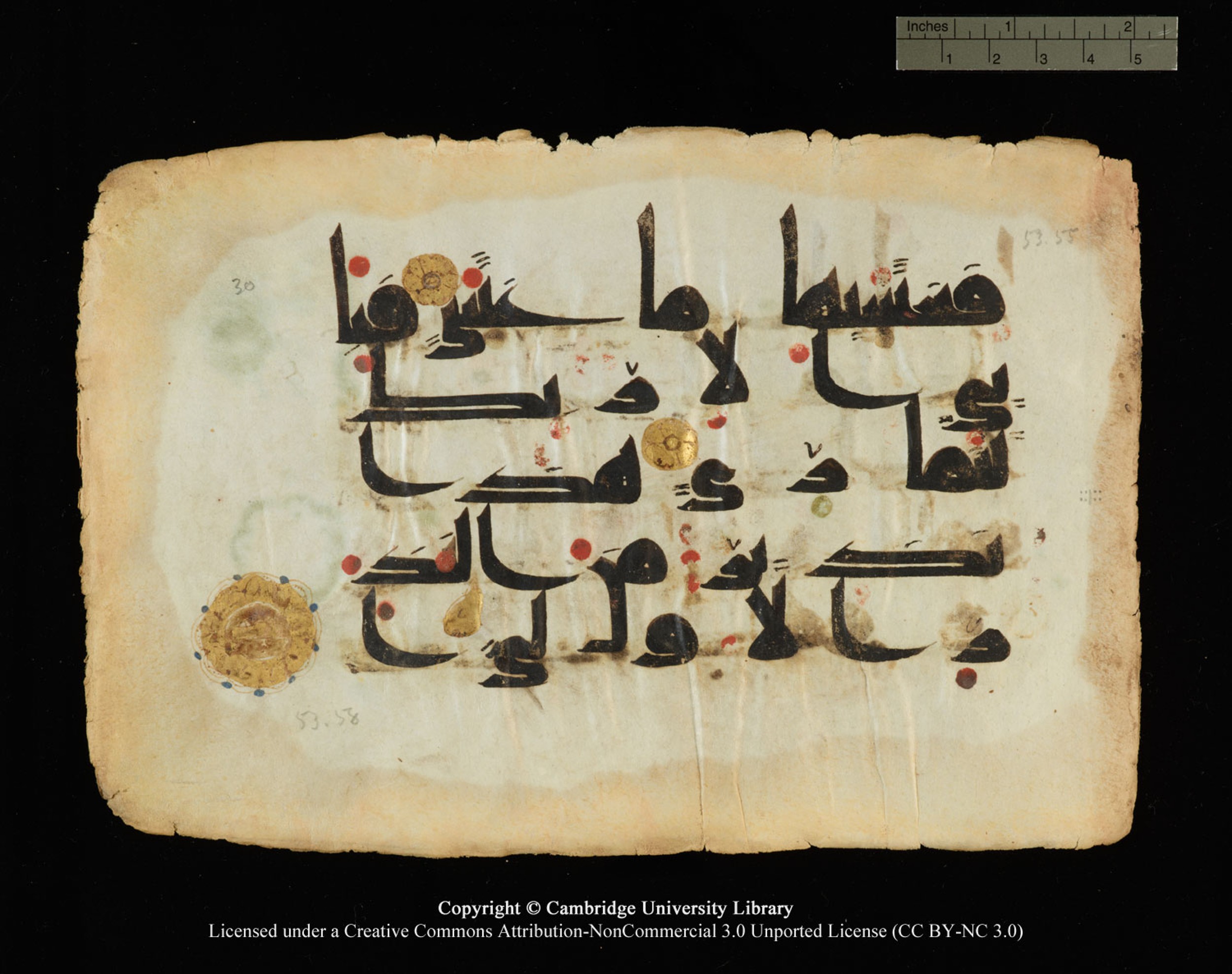 Cambridge, Cambridge University Library, MS Or.770, in Kūfī D.III script, showing Surah 53:55 from 9th Century AD found in Unknown, currently housed at Cambridge University Library, Cambridge