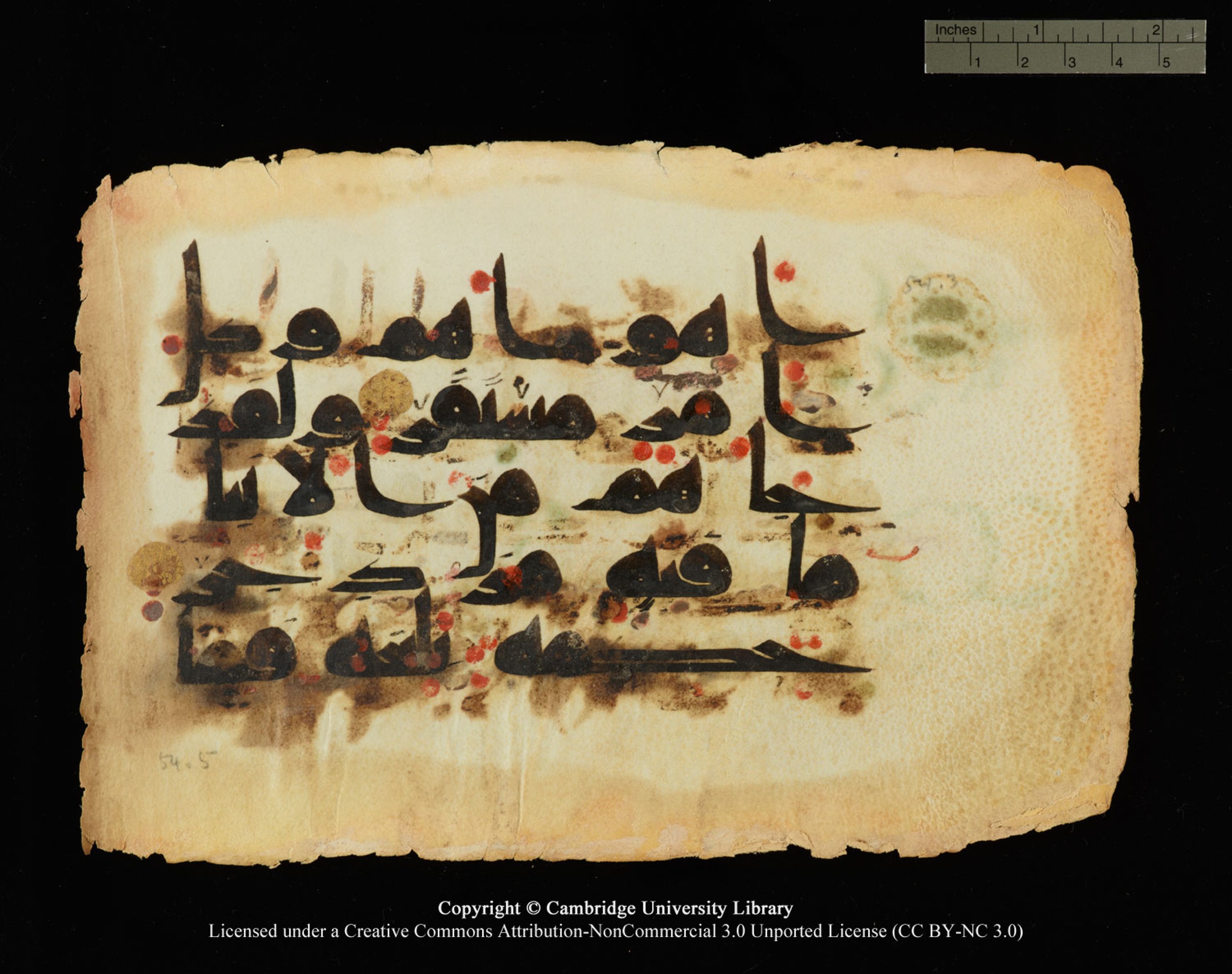 Cambridge, Cambridge University Library, MS Or.770 (Scan 2), in Kūfī D.III script, showing Surah 54:3 from 9th Century AD found in Unknown, currently housed at Cambridge University Library, Cambridge
