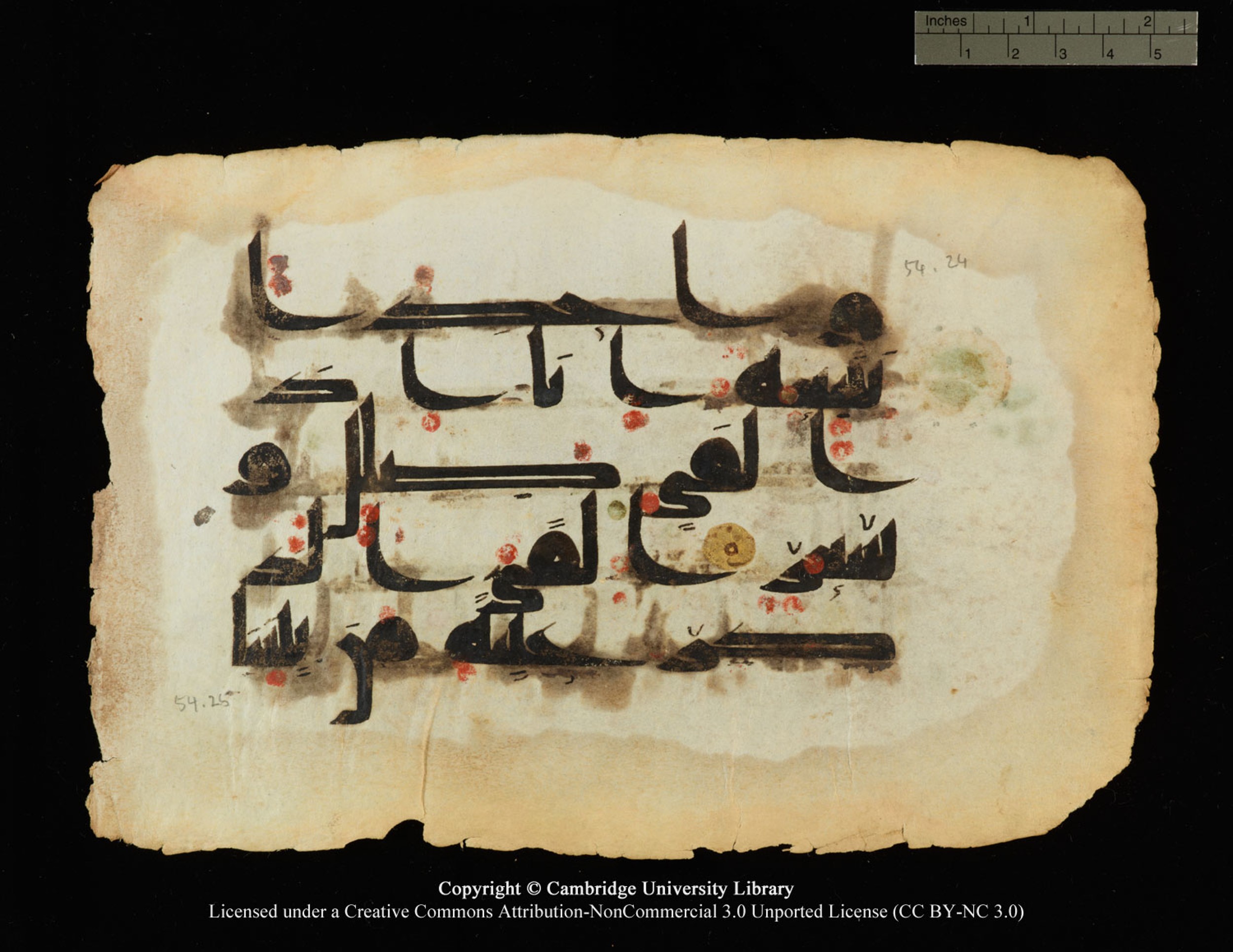 Cambridge, Cambridge University Library, MS Or.770 (Scan 1), in Kūfī D.III script, showing Surah 54:25 from 9th Century AD found in Unknown, currently housed at Cambridge University Library, Cambridge