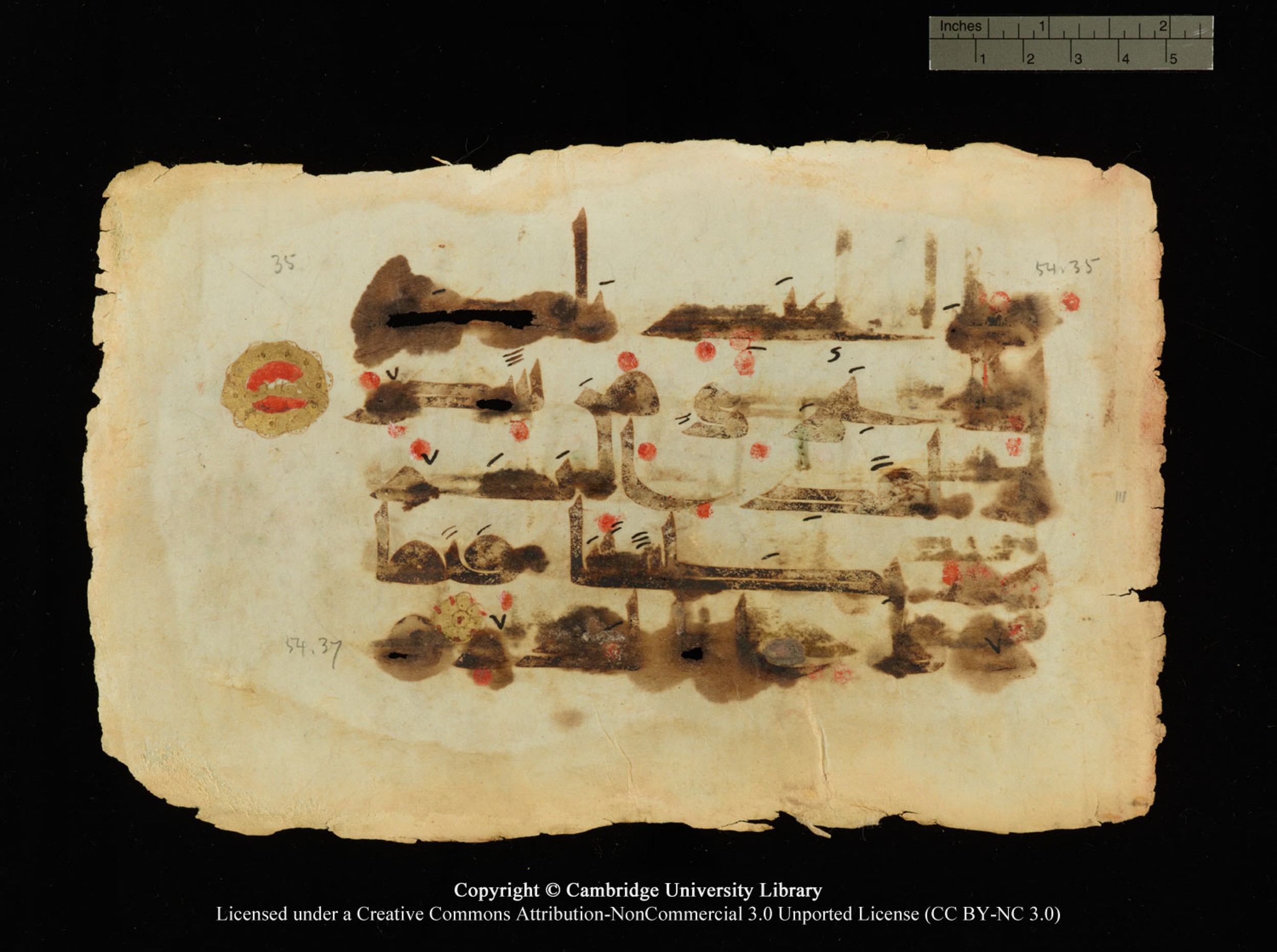 Cambridge, Cambridge University Library, MS Or.770, in Kūfī D.III script, showing Surah 54:36 from 9th Century AD found in Unknown, currently housed at Cambridge University Library, Cambridge