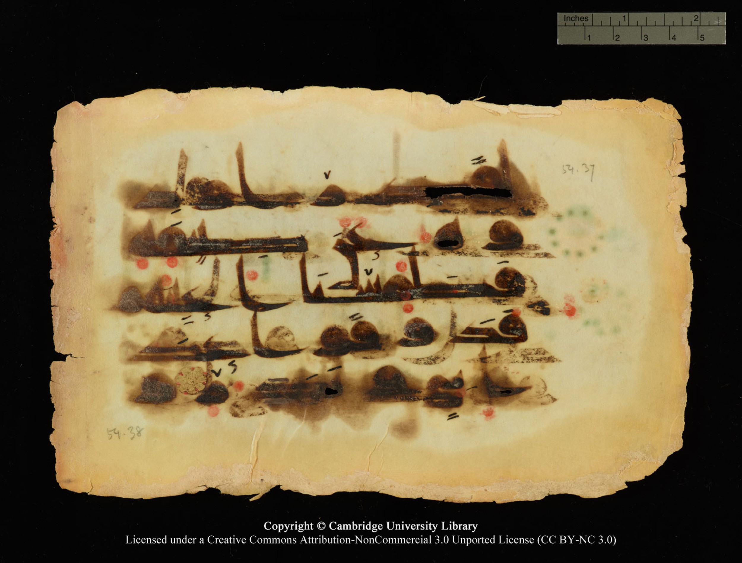 Cambridge, Cambridge University Library, MS Or.770 (Scan 2), in Kūfī D.III script, showing Surah 54:37 from 9th Century AD found in Unknown, currently housed at Cambridge University Library, Cambridge