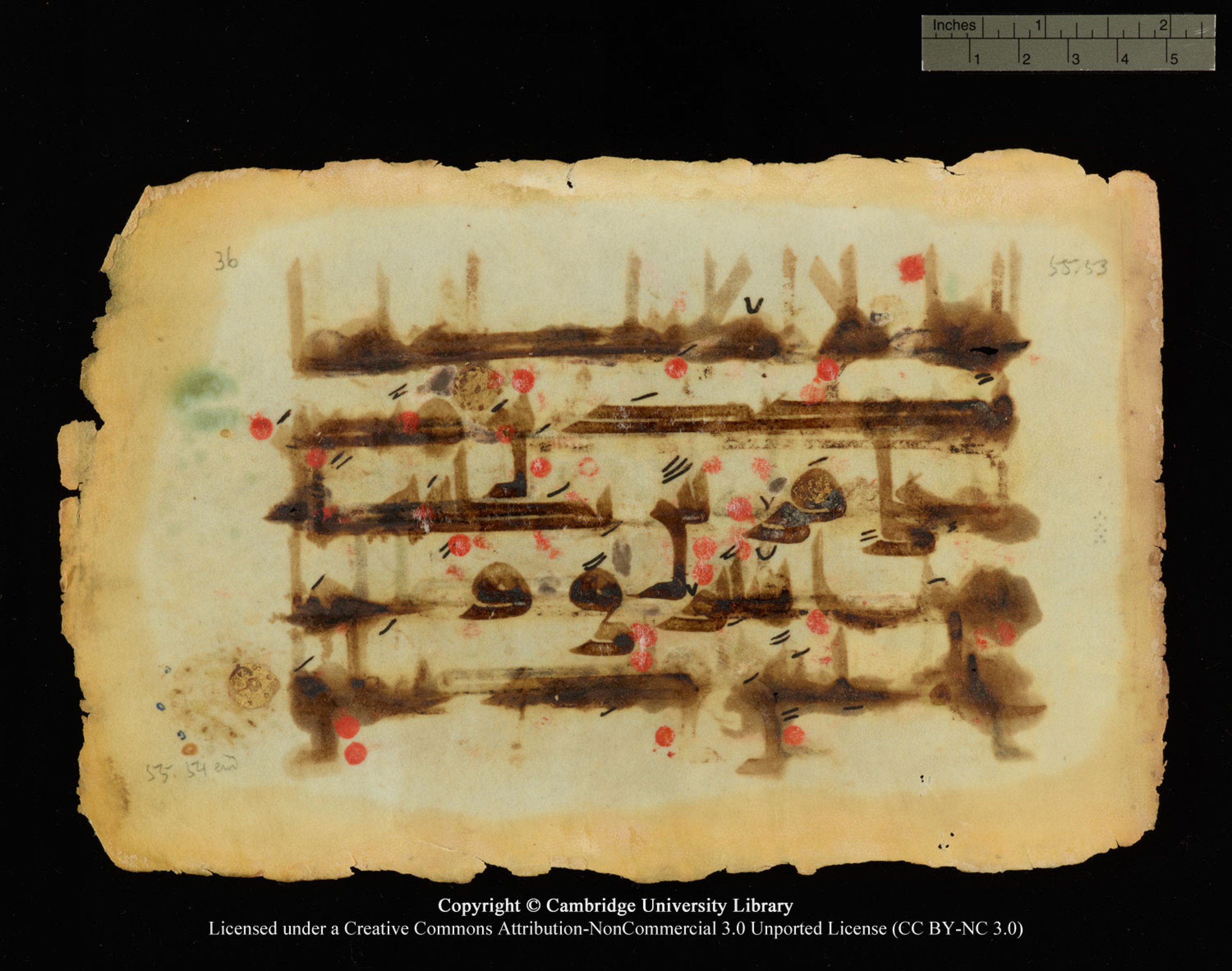 Cambridge, Cambridge University Library, MS Or.770, in Kūfī D.III script, showing Surah 55:53 from 9th Century AD found in Unknown, currently housed at Cambridge University Library, Cambridge