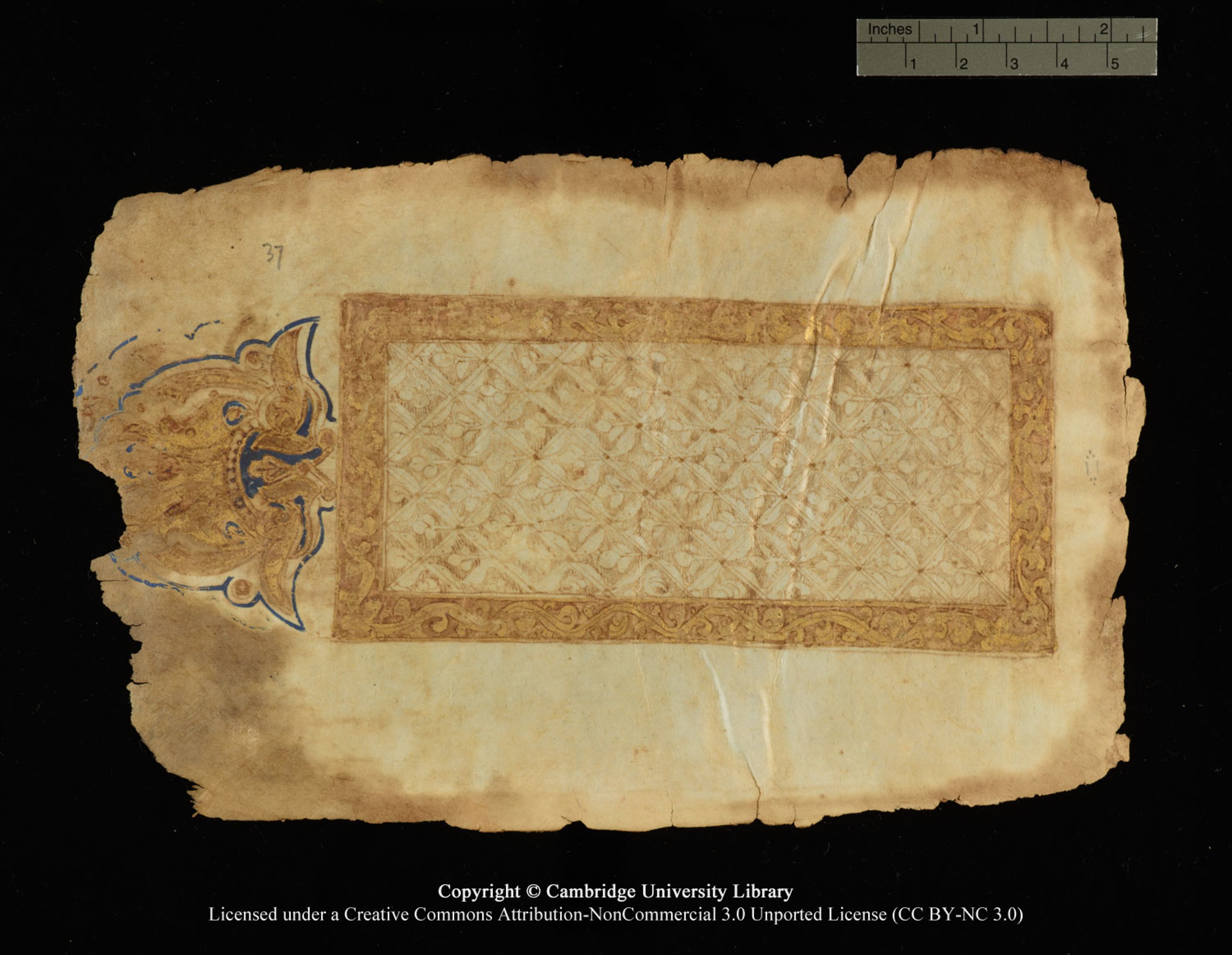 Cambridge, Cambridge University Library, MS Or.770 (Scan 2), in Kūfī D.III script, showing Surah 55:56 from 9th Century AD found in Unknown, currently housed at Cambridge University Library, Cambridge