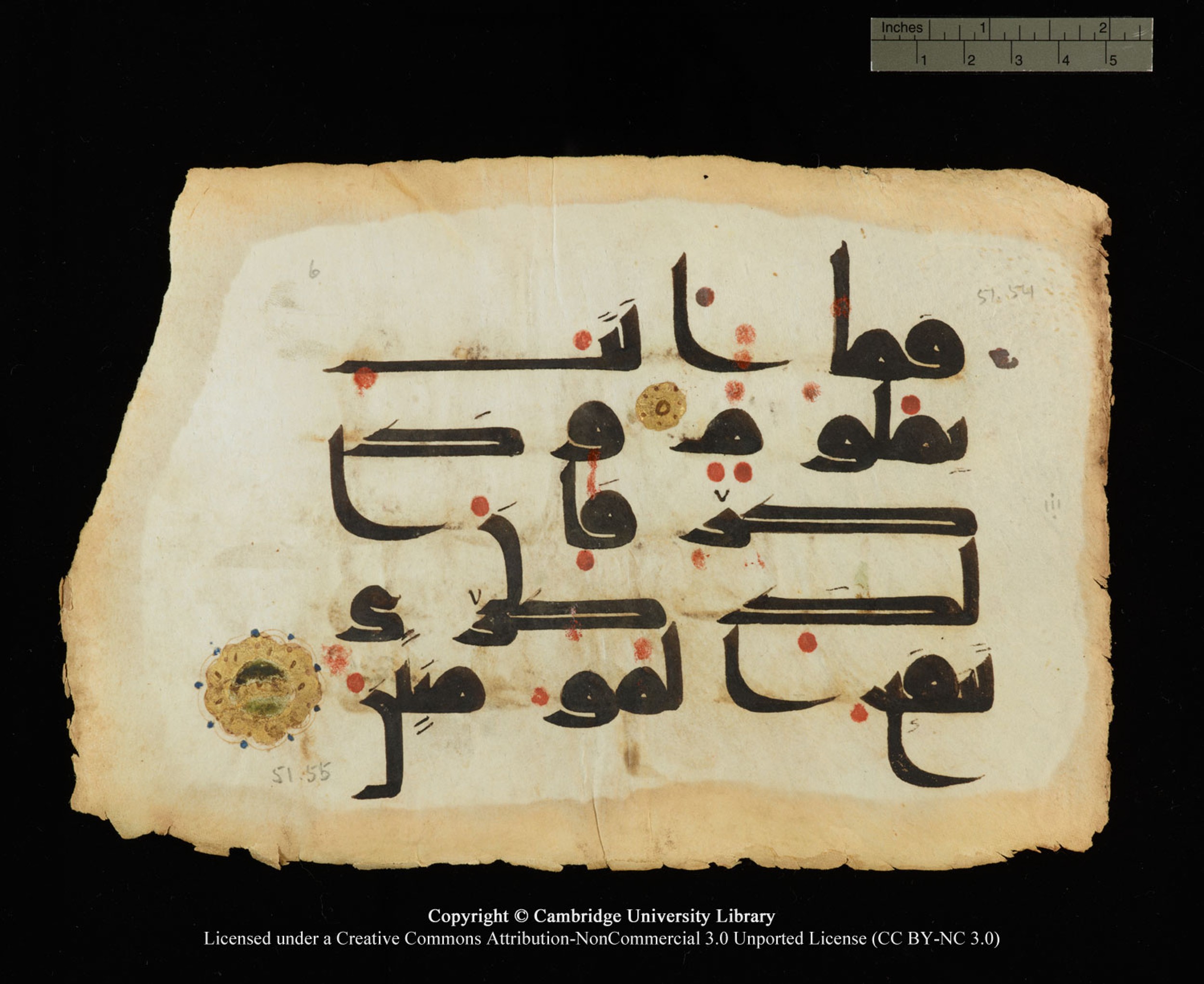 Cambridge, Cambridge University Library, MS Or.770 (Scan 2), in Kūfī D.III script, showing Surah 51:54 from 9th Century AD found in Unknown, currently housed at Cambridge University Library, Cambridge
