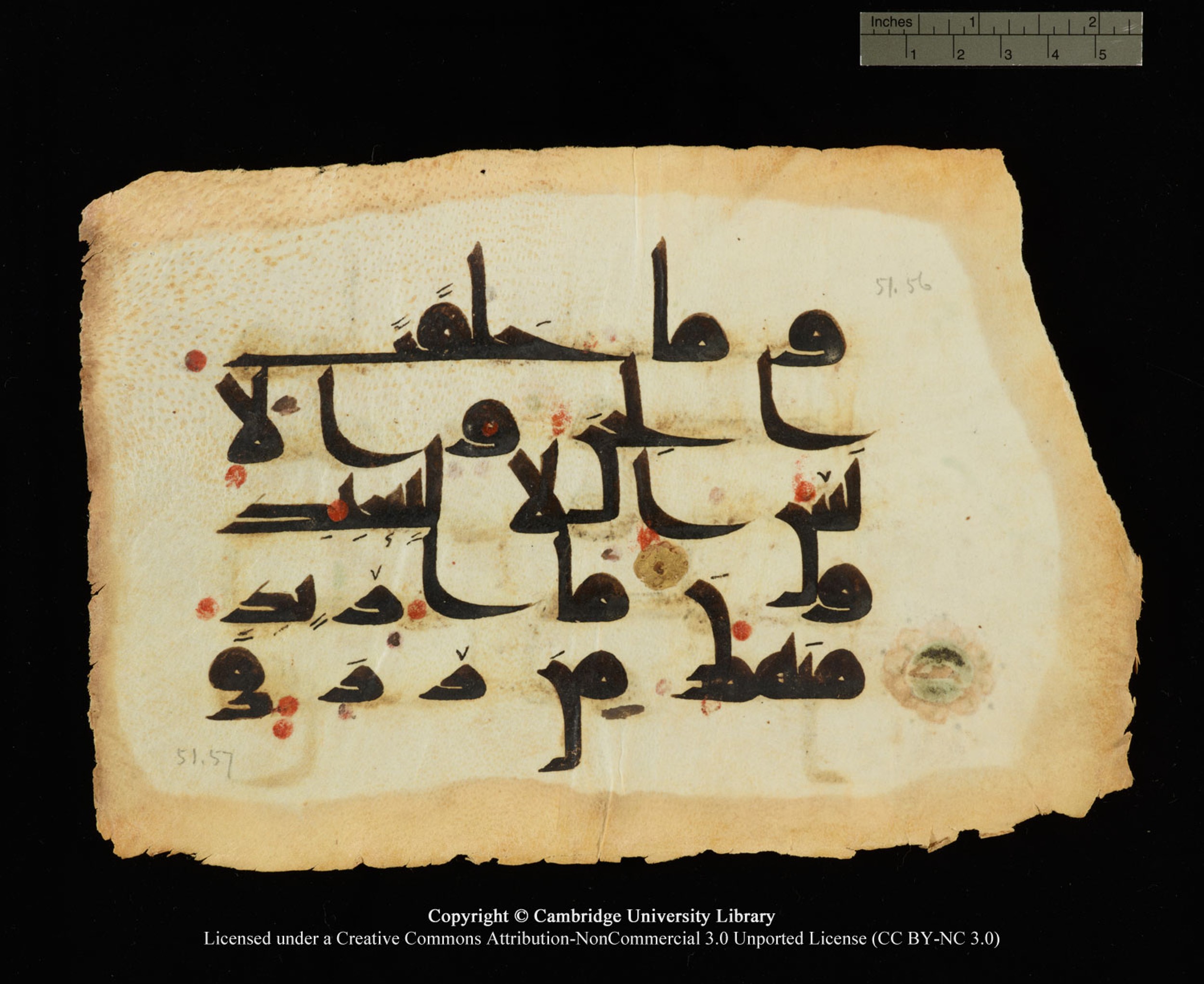 Cambridge, Cambridge University Library, MS Or.770, in Kūfī D.III script, showing Surah 51:56 from 9th Century AD found in Unknown, currently housed at Cambridge University Library, Cambridge