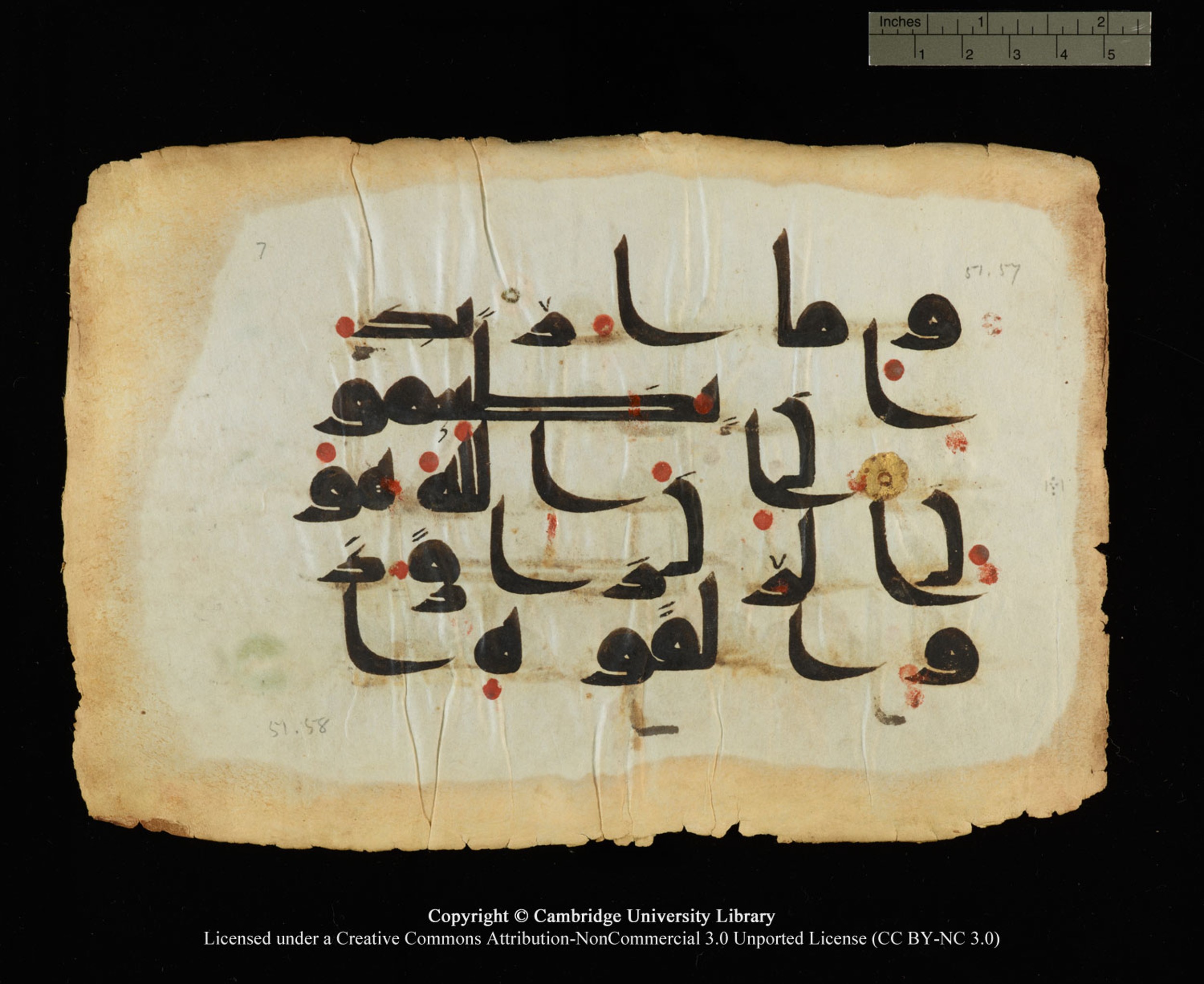 Cambridge, Cambridge University Library, MS Or.770 (Scan 2), in Kūfī D.III script, showing Surah 51:57 from 9th Century AD found in Unknown, currently housed at Cambridge University Library, Cambridge