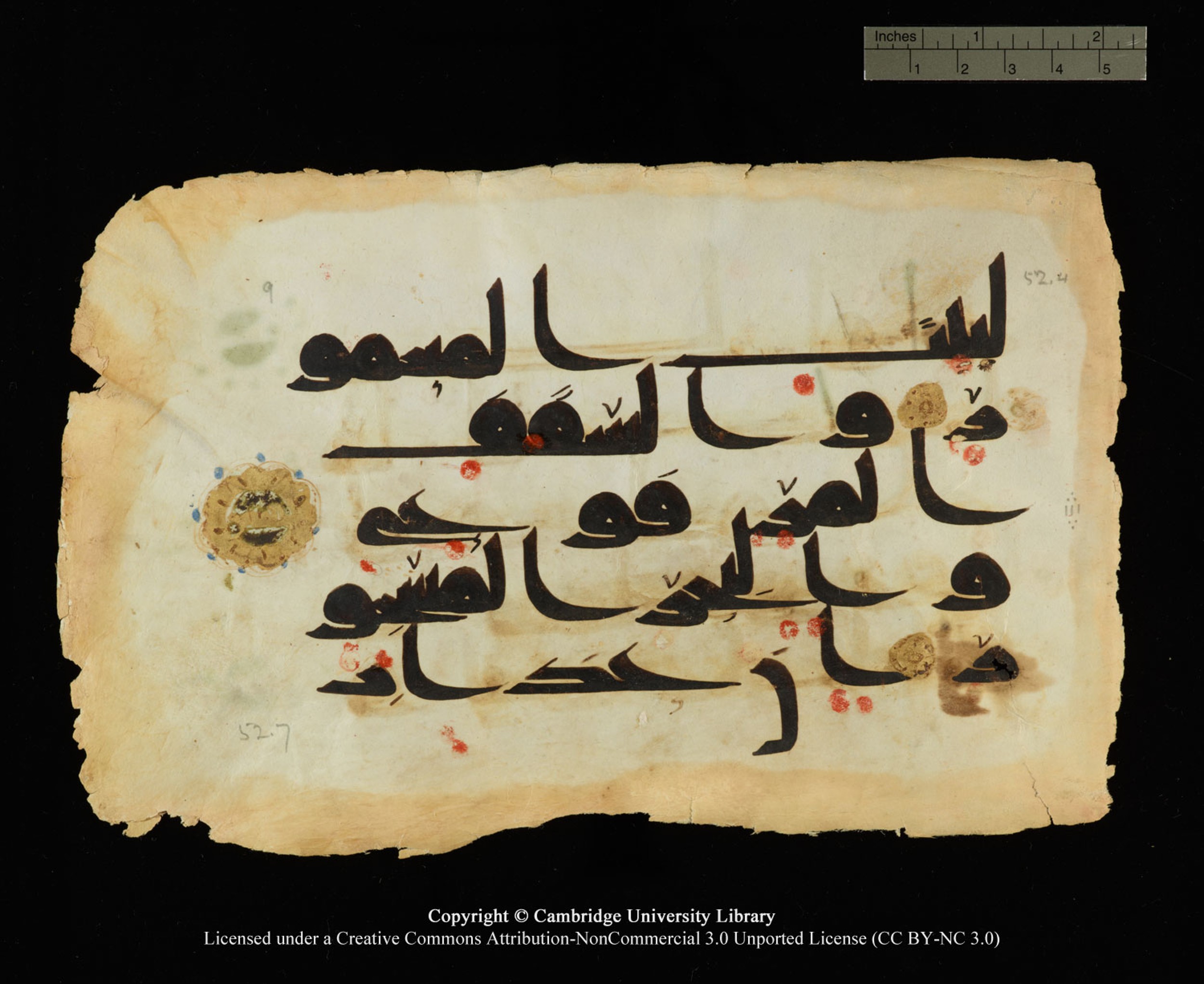 Cambridge, Cambridge University Library, MS Or.770 (Scan 2), in Kūfī D.III script, showing Surah 52:4 from 9th Century AD found in Unknown, currently housed at Cambridge University Library, Cambridge