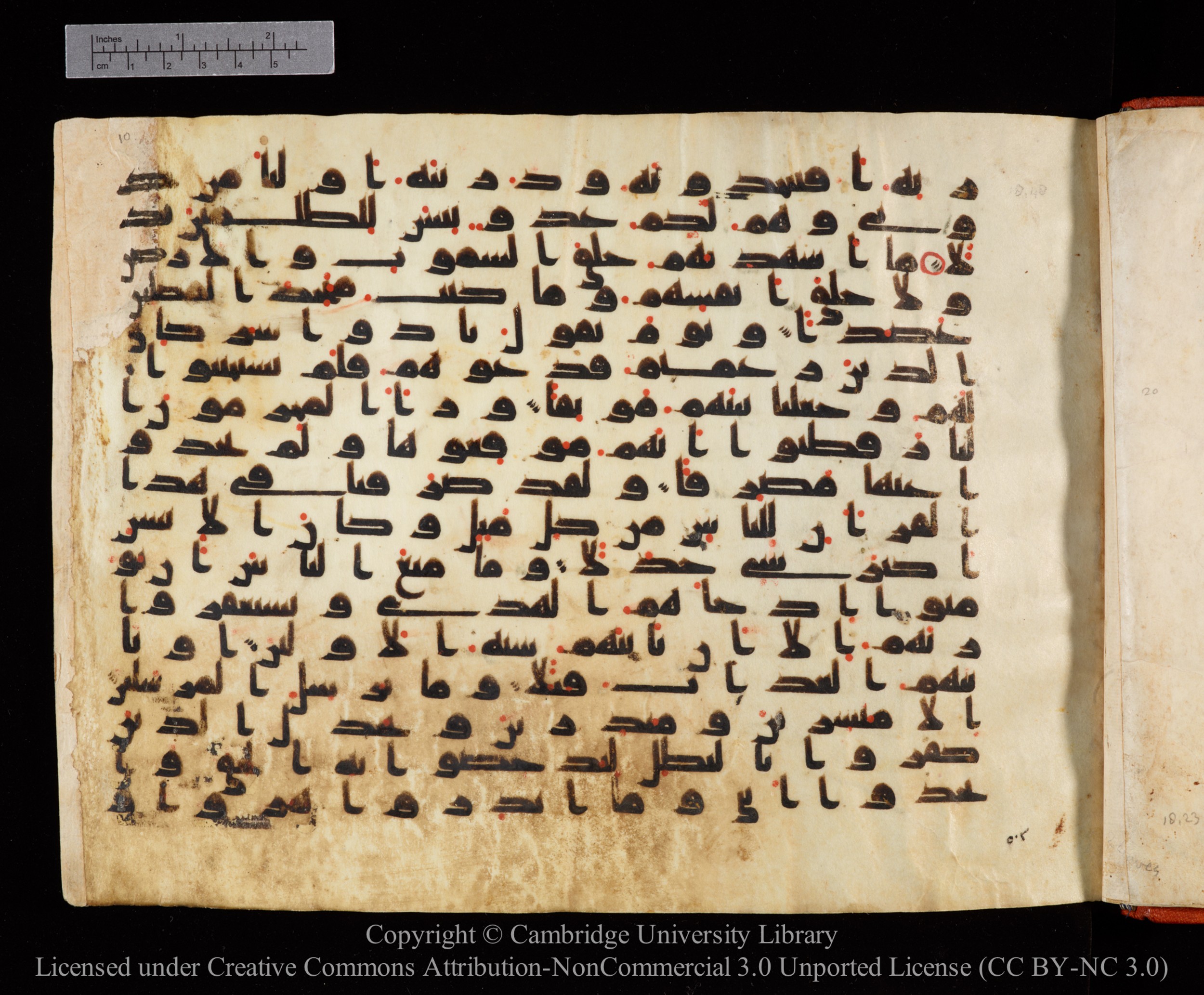 Cambridge University Library MS Or.771, in kūfī D.I script, showing Surah 18:53 from 10th to 11th Century AD found in Unknown, currently housed at Cambridge University Library, Cambridge, UK