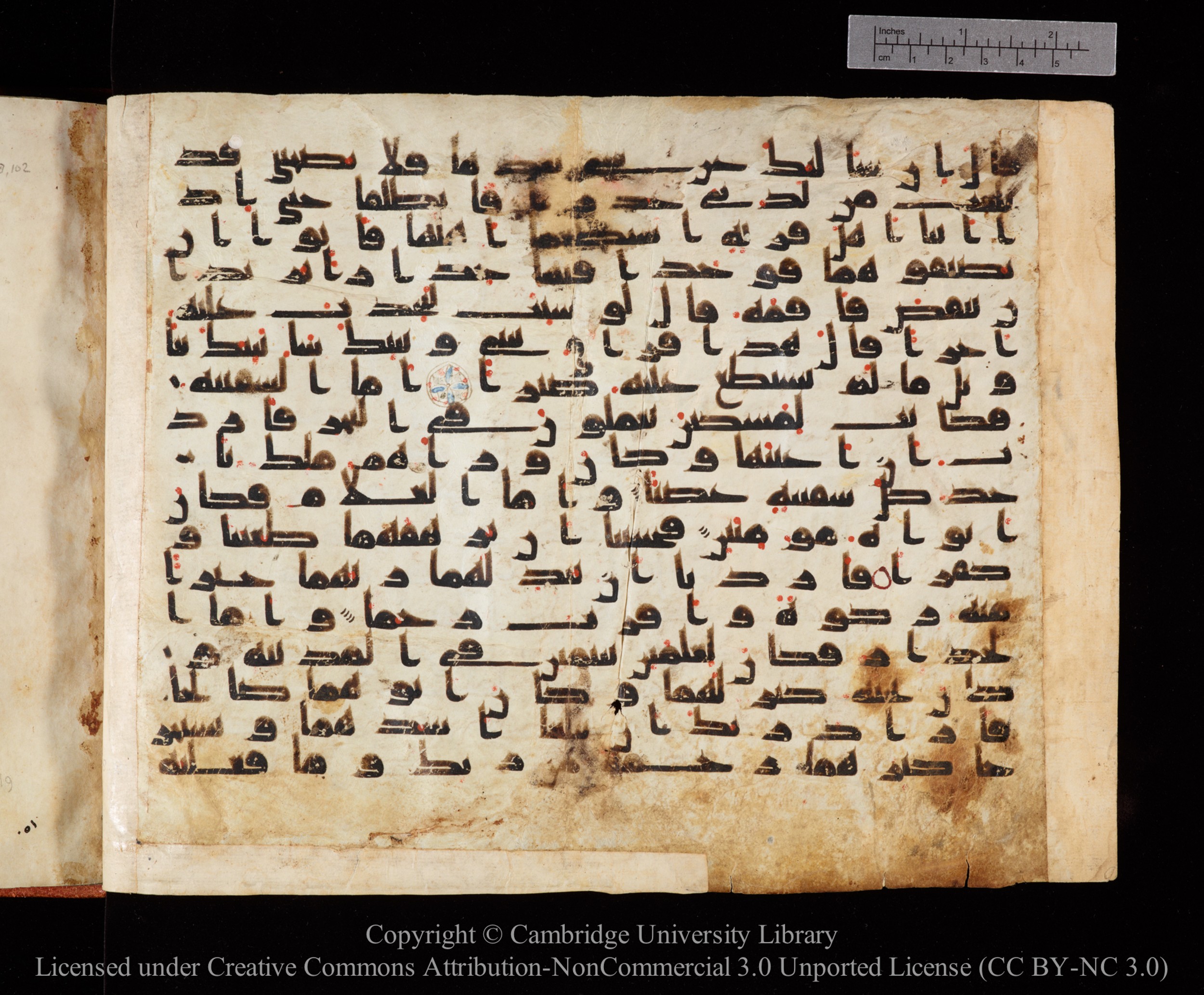 Cambridge University Library MS Or.771, in kūfī D.I script, showing Surah 18:76 from 10th to 11th Century AD found in Unknown, currently housed at Cambridge University Library, Cambridge, UK