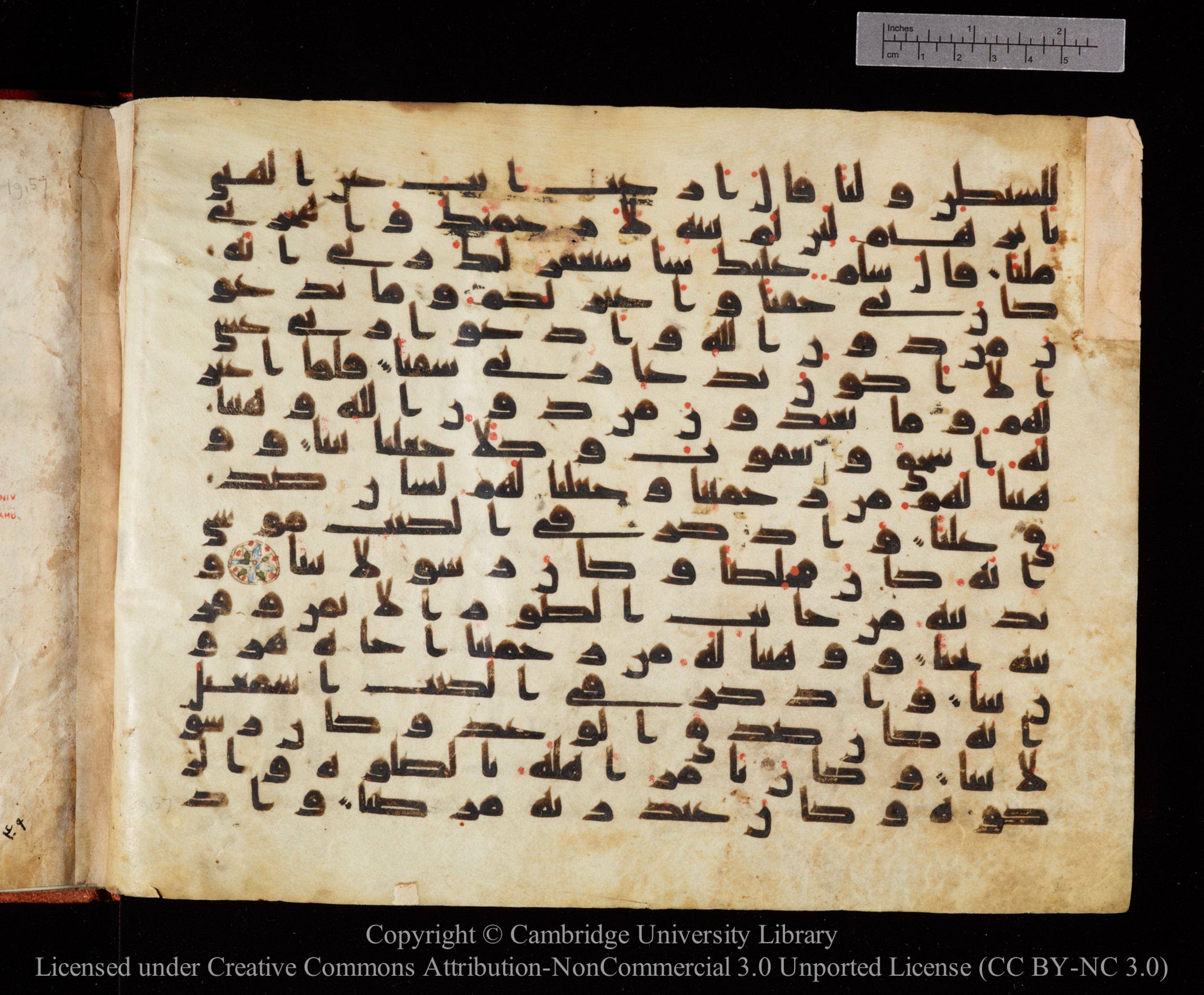 Cambridge University Library MS Or.771, in kūfī D.I script, showing Surah 19:49 from 10th to 11th Century AD found in Unknown, currently housed at Cambridge University Library, Cambridge, UK