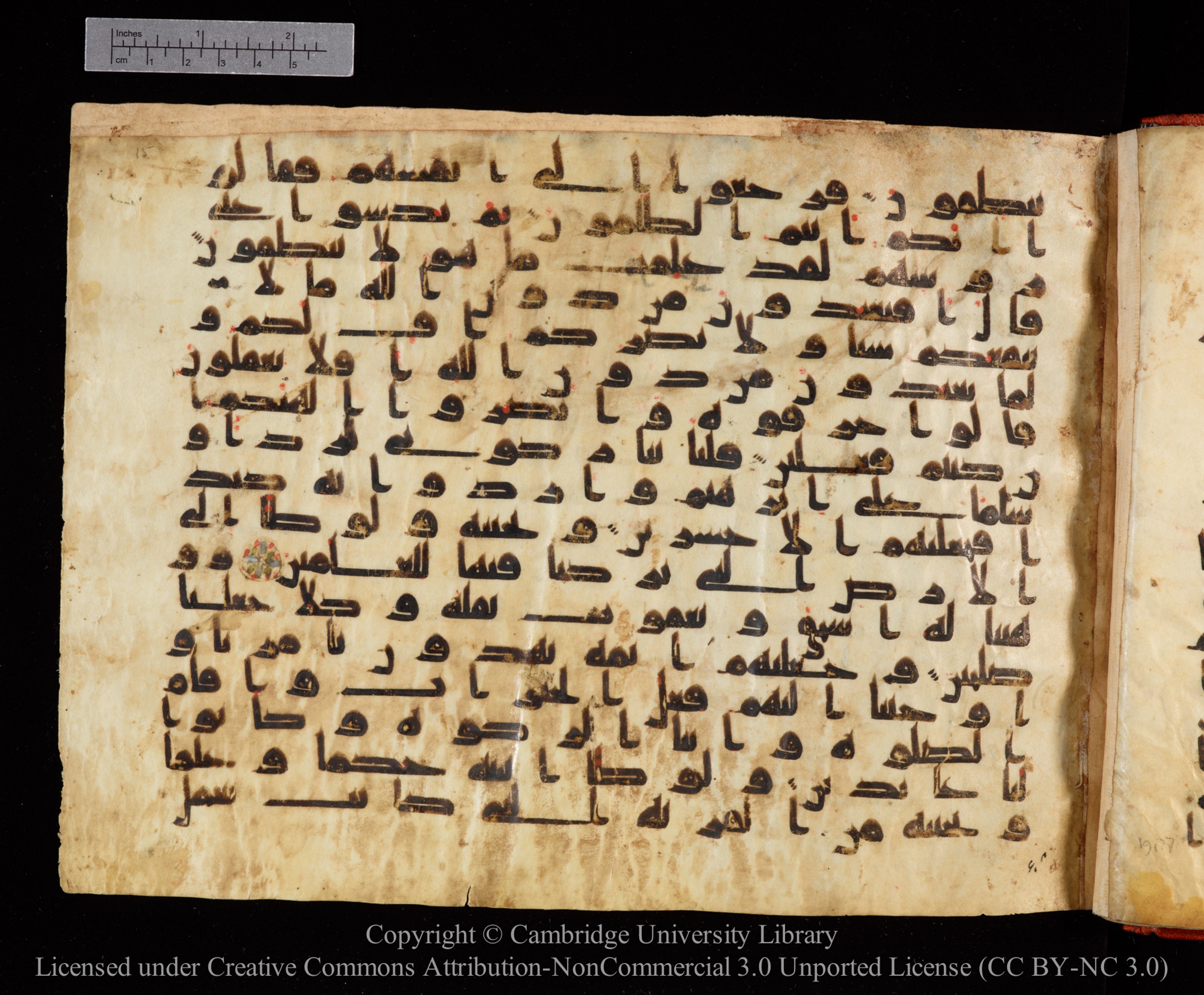 Cambridge University Library MS Or.771, in kūfī D.I script, showing Surah 21:67 from 10th to 11th Century AD found in Unknown, currently housed at Cambridge University Library, Cambridge, UK