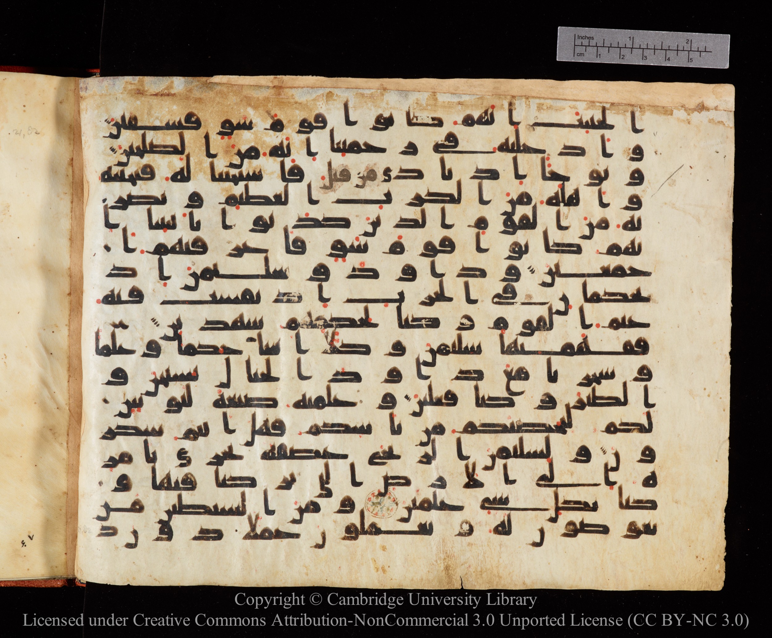 Cambridge University Library MS Or.771, in kūfī D.I script, showing Surah 21:76 from 10th to 11th Century AD found in Unknown, currently housed at Cambridge University Library, Cambridge, UK