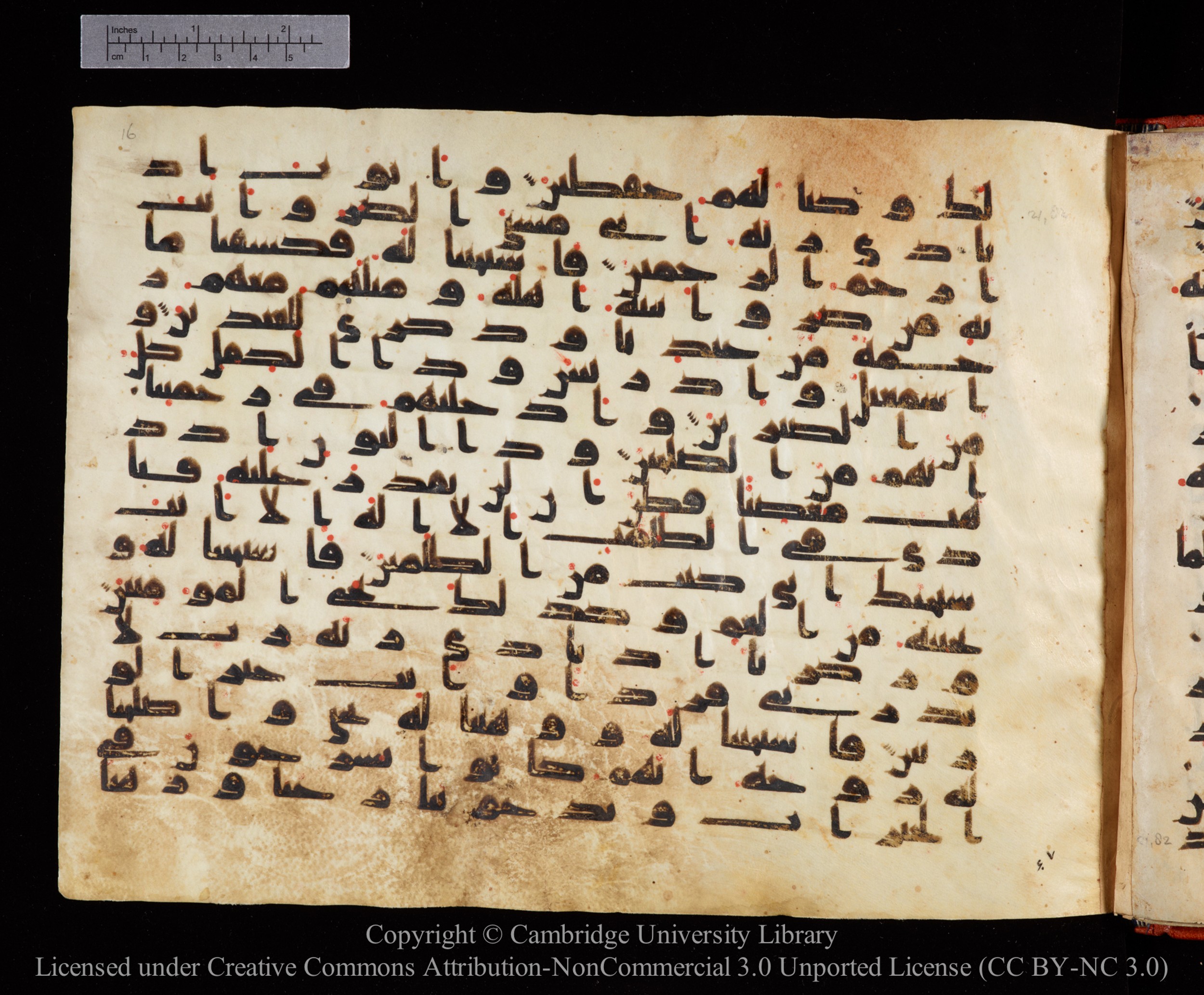 Cambridge University Library MS Or.771, in kūfī D.I script, showing Surah 21:83 from 10th to 11th Century AD found in Unknown, currently housed at Cambridge University Library, Cambridge, UK