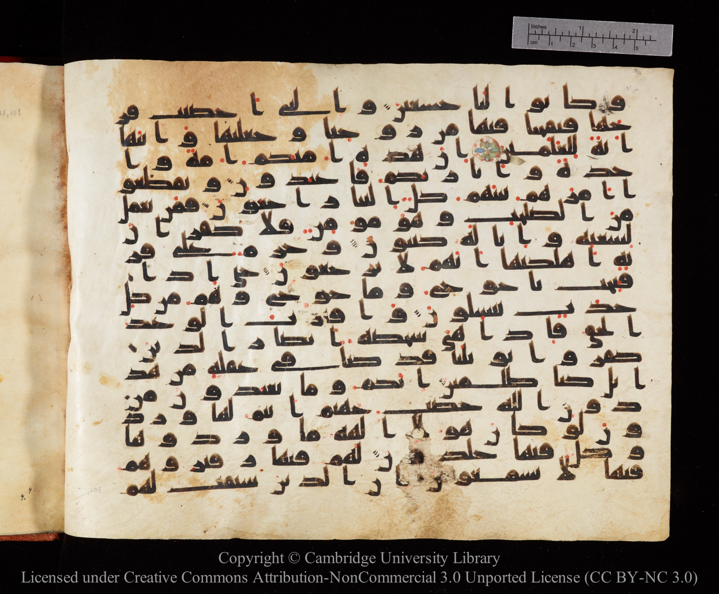 Cambridge University Library MS Or.771, in kūfī D.I script, showing Surah 21:98 from 10th to 11th Century AD found in Unknown, currently housed at Cambridge University Library, Cambridge, UK