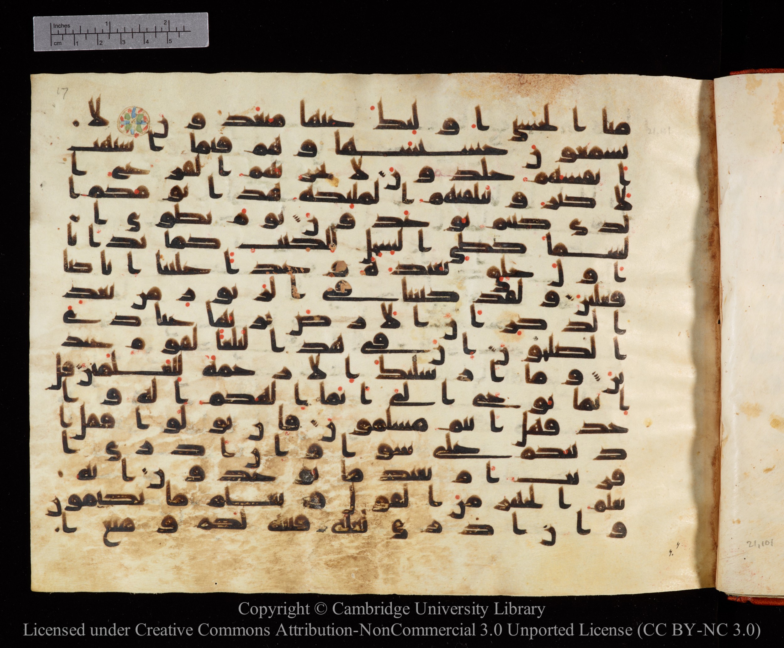 Cambridge University Library MS Or.771, in kūfī D.I script, showing Surah 21:103 from 10th to 11th Century AD found in Unknown, currently housed at Cambridge University Library, Cambridge, UK