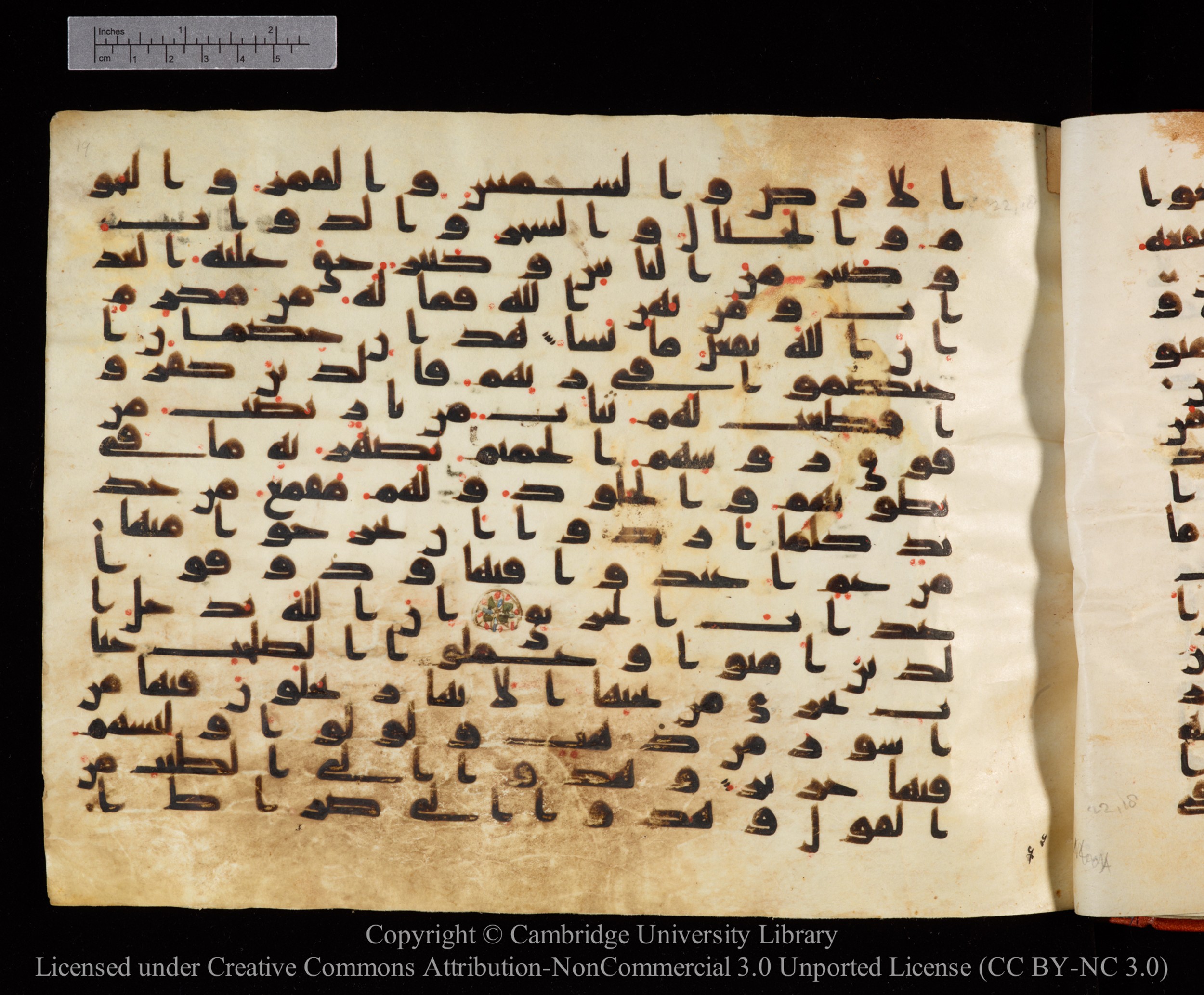 Cambridge University Library MS Or.771, in kūfī D.I script, showing Surah 22:21 from 10th to 11th Century AD found in Unknown, currently housed at Cambridge University Library, Cambridge, UK