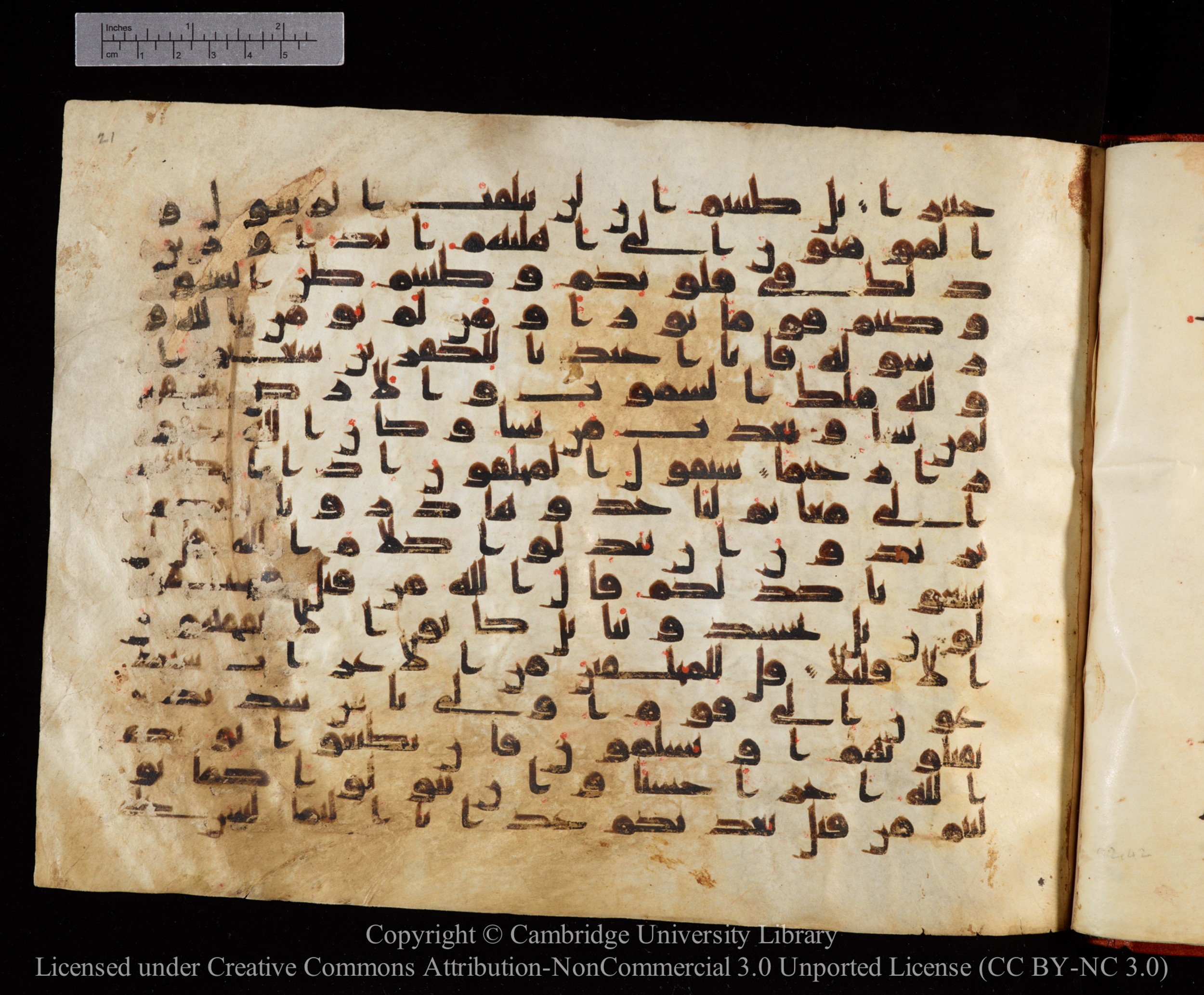 Cambridge University Library MS Or.771, in kūfī D.I script, showing Surah 48:12 from 10th to 11th Century AD found in Unknown, currently housed at Cambridge University Library, Cambridge, UK