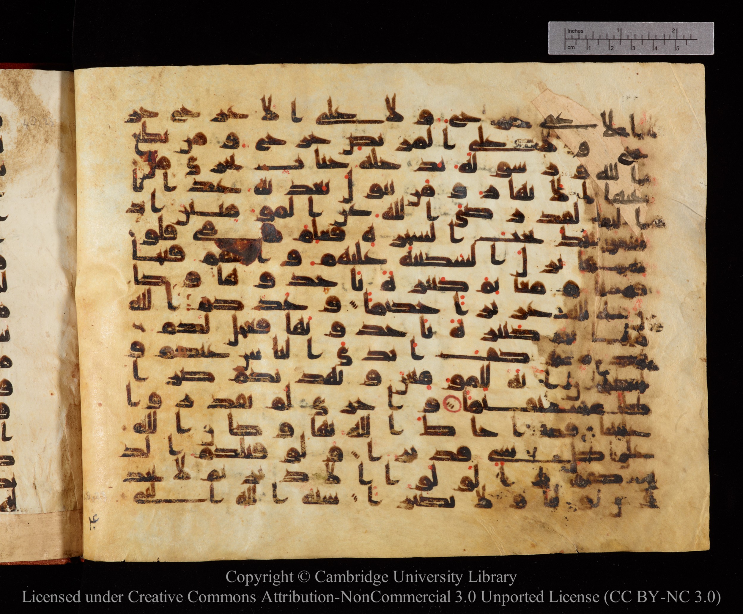Cambridge University Library MS Or.771, in kūfī D.I script, showing Surah 48:21 from 10th to 11th Century AD found in Unknown, currently housed at Cambridge University Library, Cambridge, UK