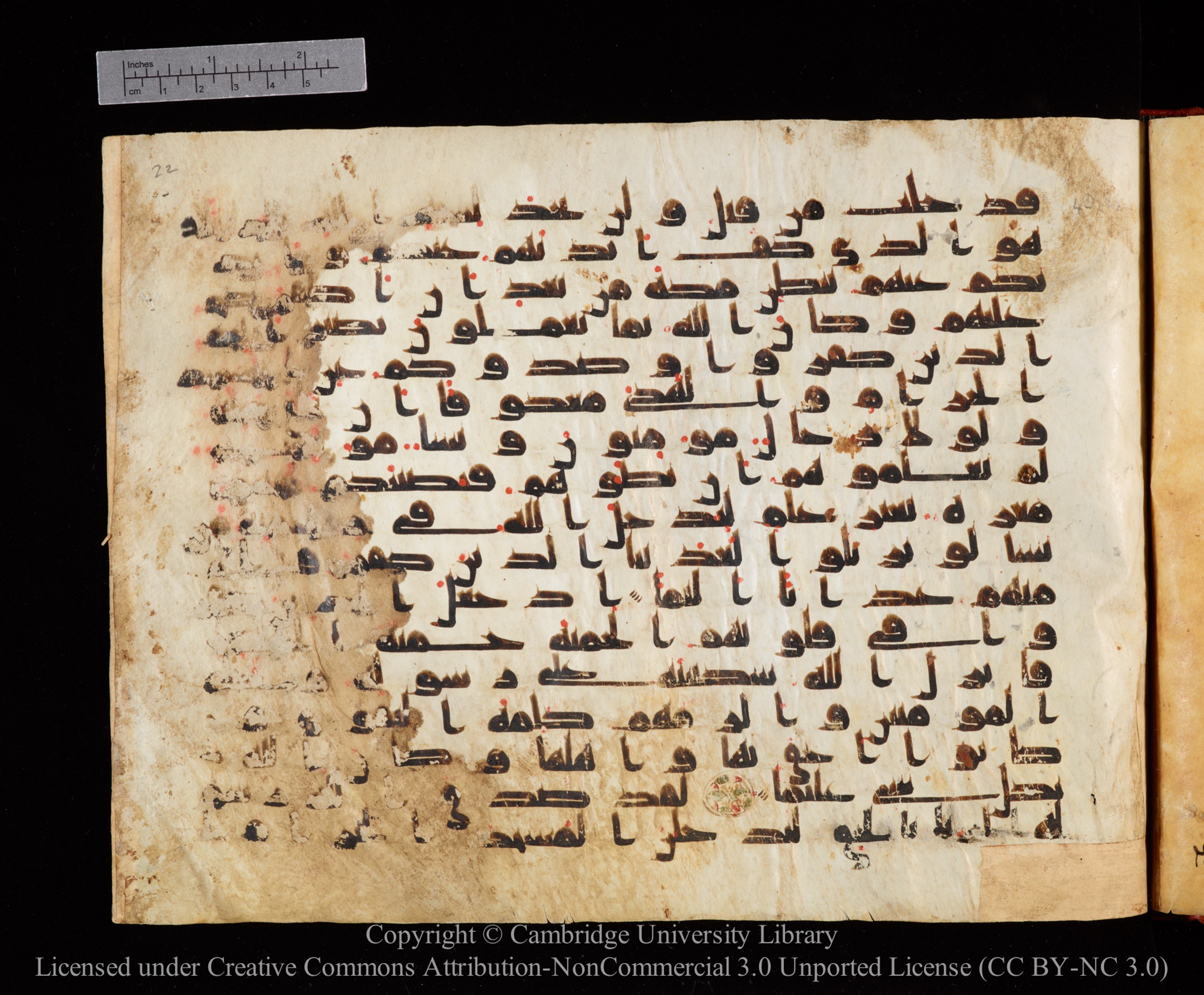 Cambridge University Library MS Or.771, in kūfī D.I script, showing Surah 48:24 from 10th to 11th Century AD found in Unknown, currently housed at Cambridge University Library, Cambridge, UK