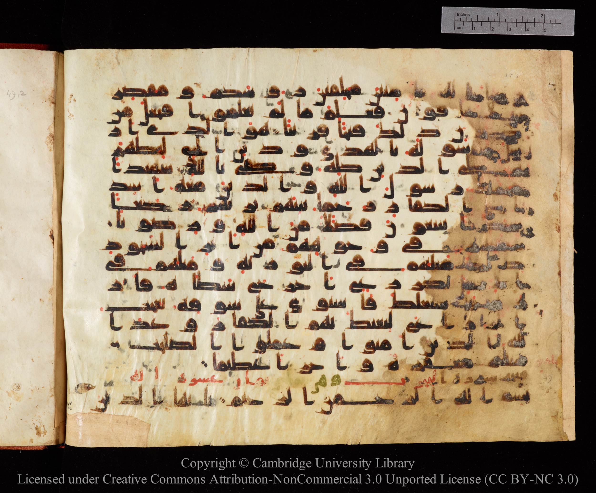 Cambridge University Library MS Or.771 (Scan 1), in kūfī D.I script, showing Surah 49:1 from 10th to 11th Century AD found in Unknown, currently housed at Cambridge University Library, Cambridge, UK