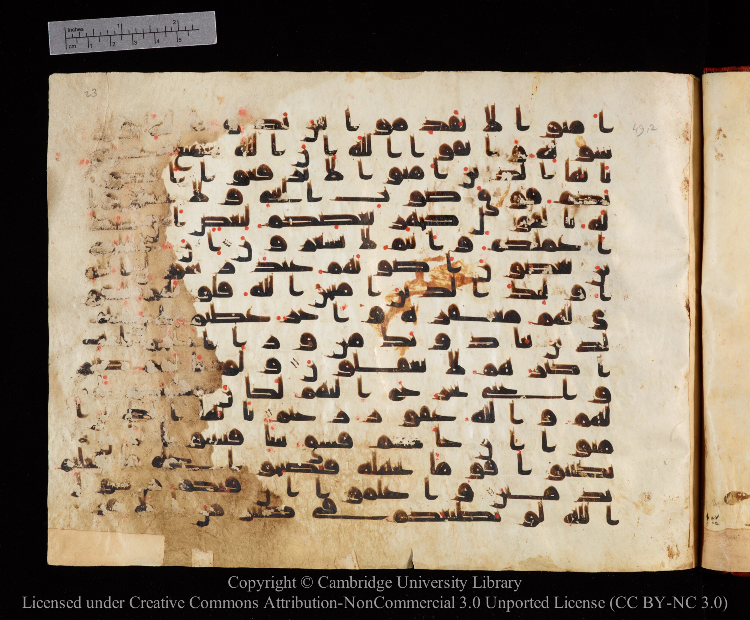 Cambridge University Library MS Or.771, in kūfī D.I script, showing Surah 49:2 from 10th to 11th Century AD found in Unknown, currently housed at Cambridge University Library, Cambridge, UK